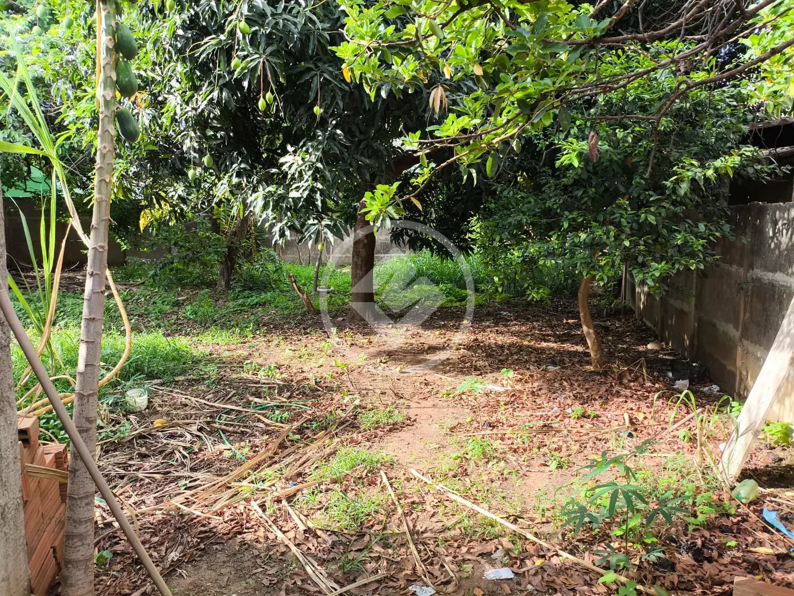 Casa 3 quartos no Martins, Uberlândia — foto 6 de 6