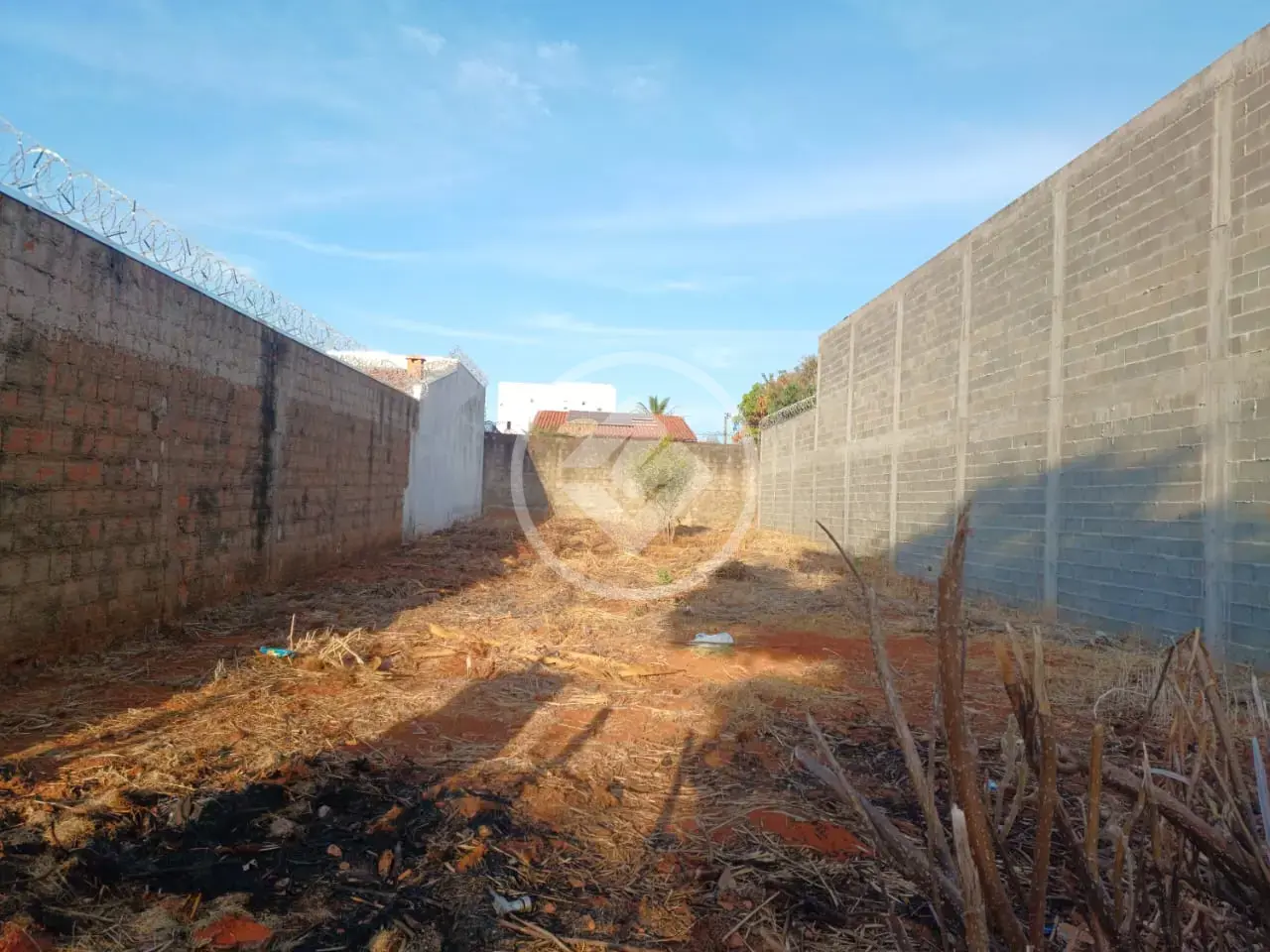 Terreno Segismundo Pereira, Uberlândia - MG — foto 1