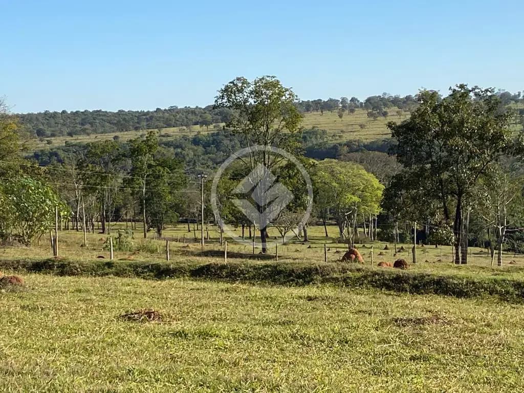 Sítio Rural, Uberlândia - MG — foto 1