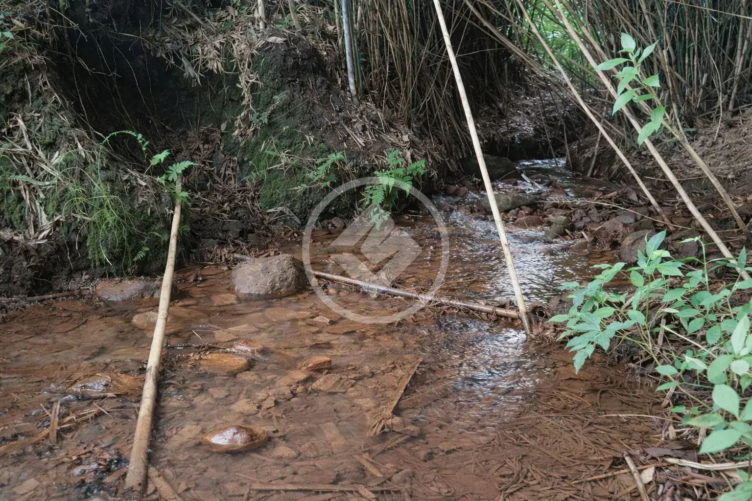 Sítio no Área Rural de Uberlândia, Uberlândia — foto 5 de 5