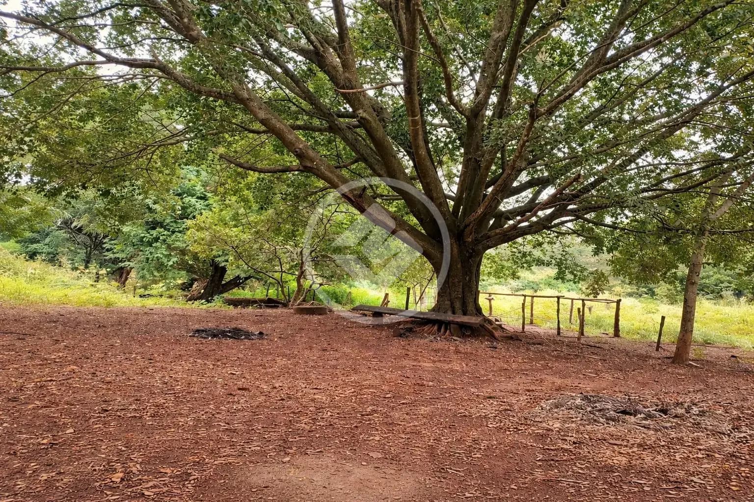 Sítio no Área Rural de Uberlândia, Uberlândia — foto 4 de 5