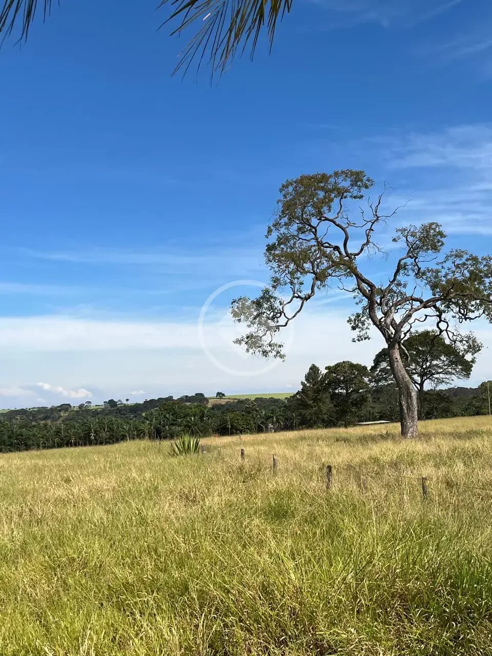 Sítio 5 quartos no Rural, Uberlândia — foto 3 de 6