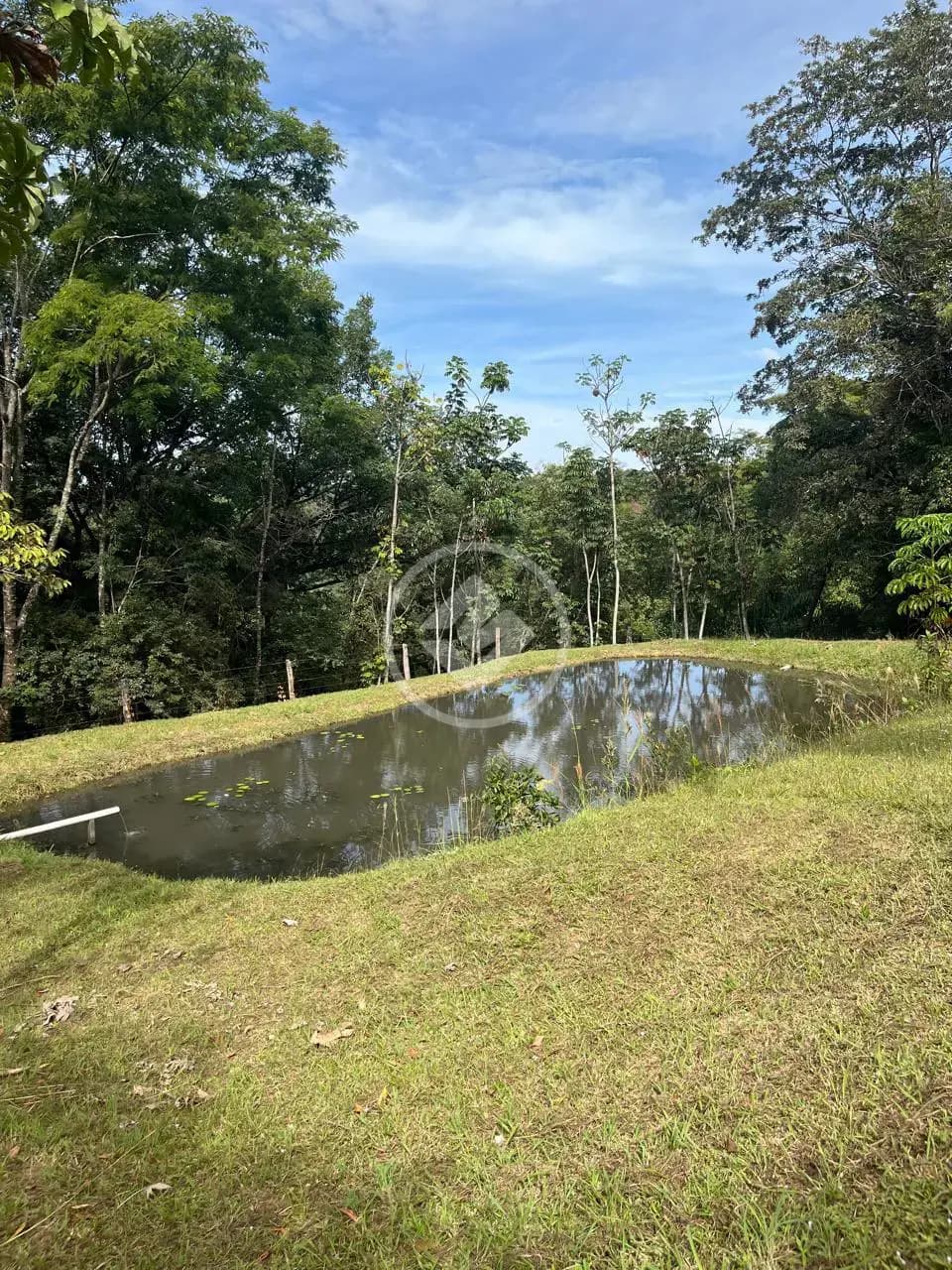 Sítio 5 quartos no Rural, Uberlândia — foto 5 de 6