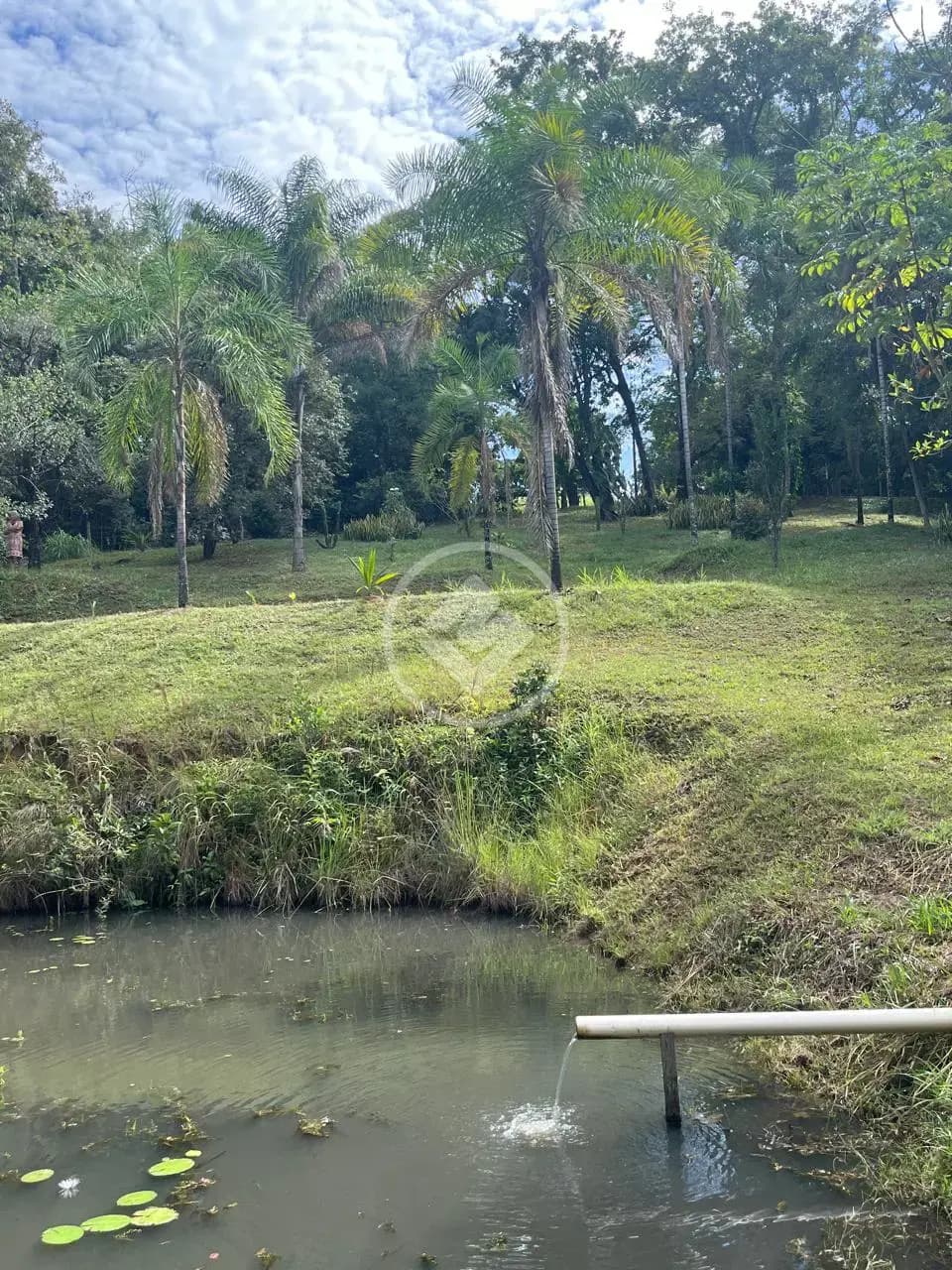 Sítio 5 quartos no Rural, Uberlândia — foto 4 de 6