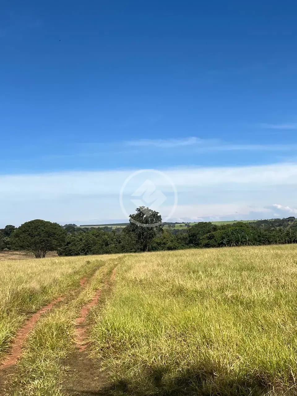 Sítio Rural, Uberlândia - MG — foto 2