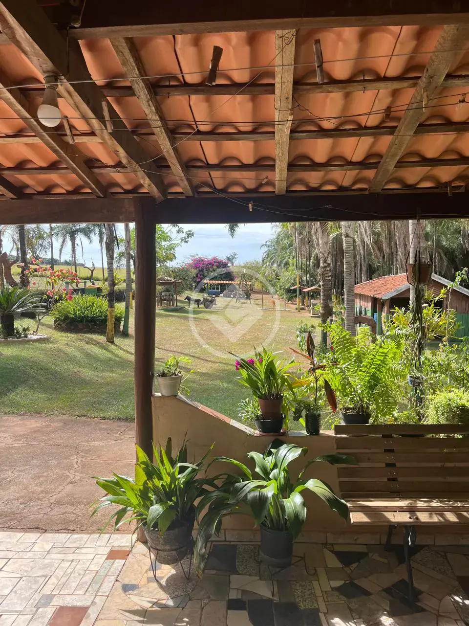 Sítio Rural, Uberlândia - MG — foto 1