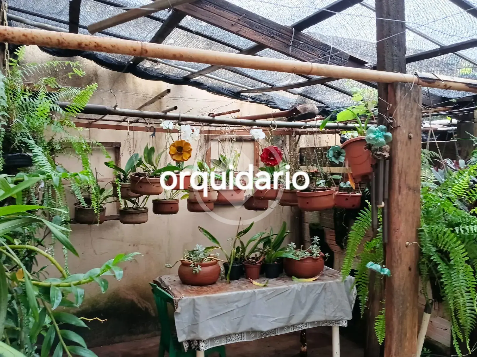 Chácara 3 quartos no Valparaíso, Uberlândia — foto 6 de 6