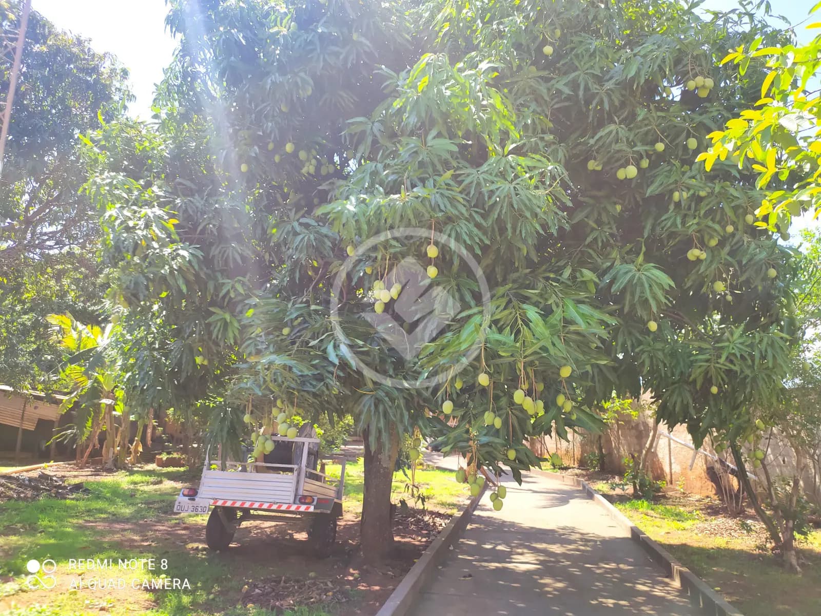 Chácara no Morada Nova, Uberlândia — foto 5 de 6
