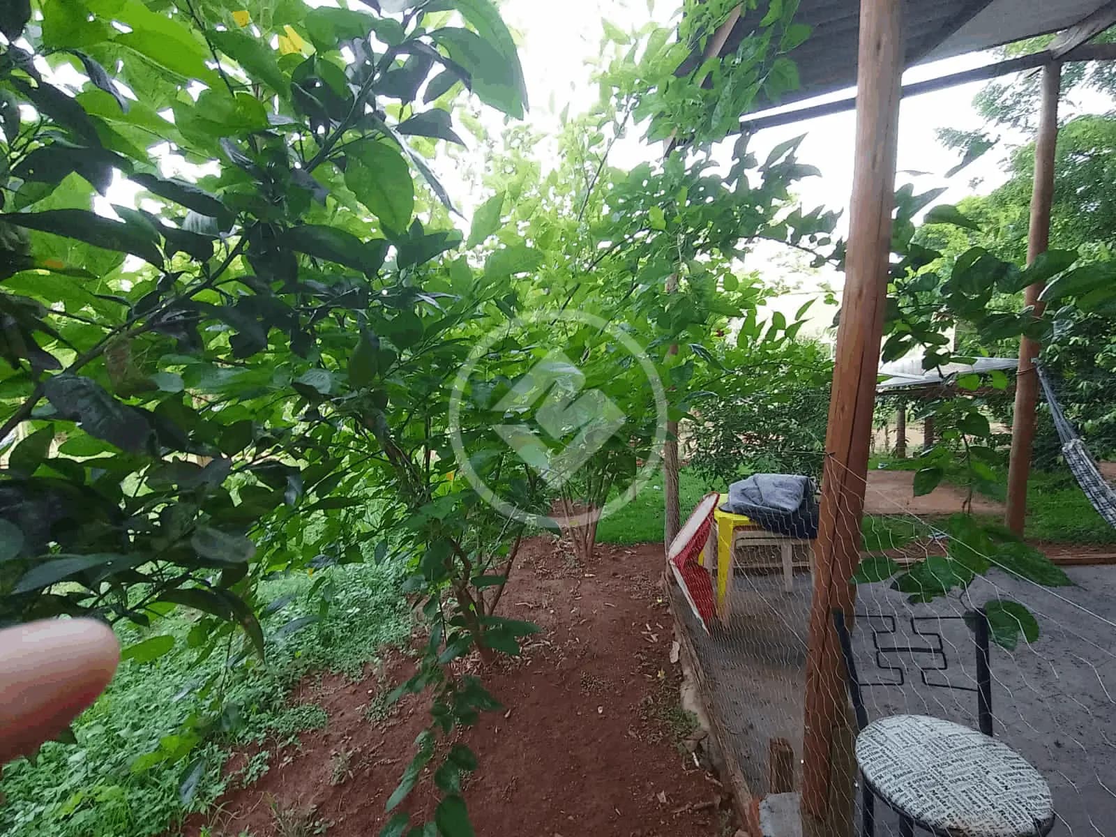 Chácara no Martinésia, Uberlândia — foto 6 de 6