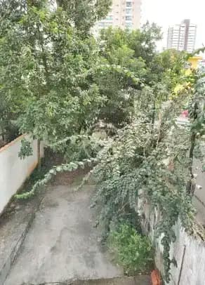 Casa Comercial 3 quartos no Campo Grande, Santos — foto 6 de 6