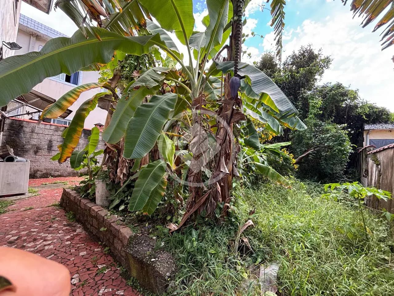 Terreno no Vila Sao Jorge, São Vicente — foto 4 de 6