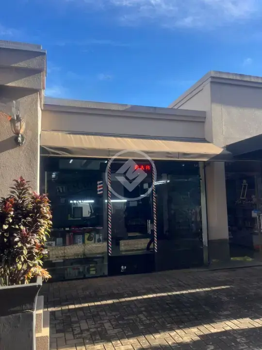 Sala Comercial Belvedere Terra Nova, São José do Rio Preto - SP — foto 1