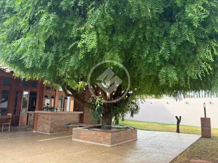 Casa 4 quartos no Nova Redentora, São José do Rio Preto — foto 3 de 6