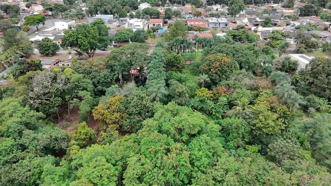 Chácara 1 quarto no Jardim Califórnia, Goiânia — foto 6 de 6