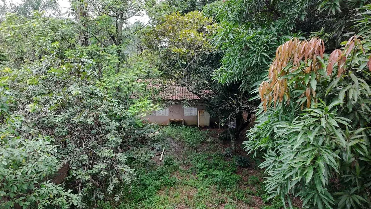 Chácara 1 quarto no Jardim Califórnia, Goiânia — foto 5 de 6