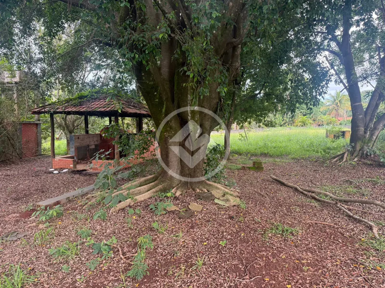 Terreno no Pontal Sul - Acréscimo, Aparecida de Goiânia — foto 4 de 6