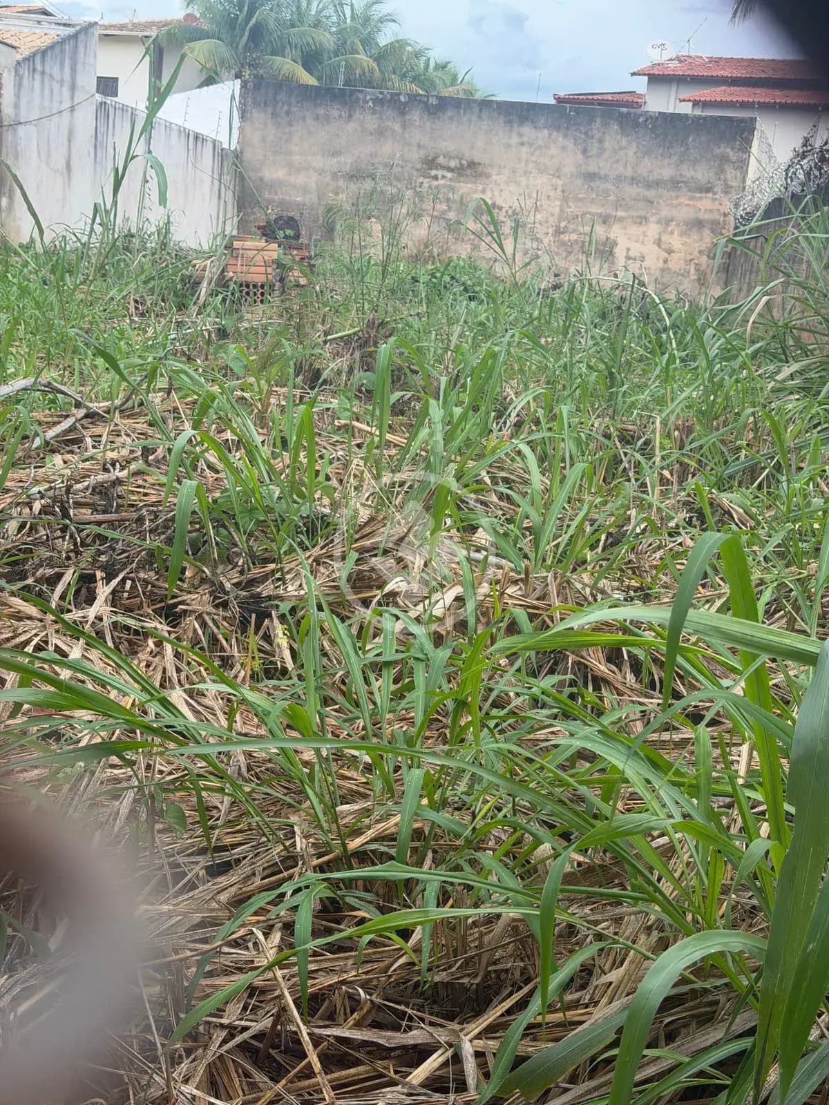 LOTE INTEIRO ST.JAÓ