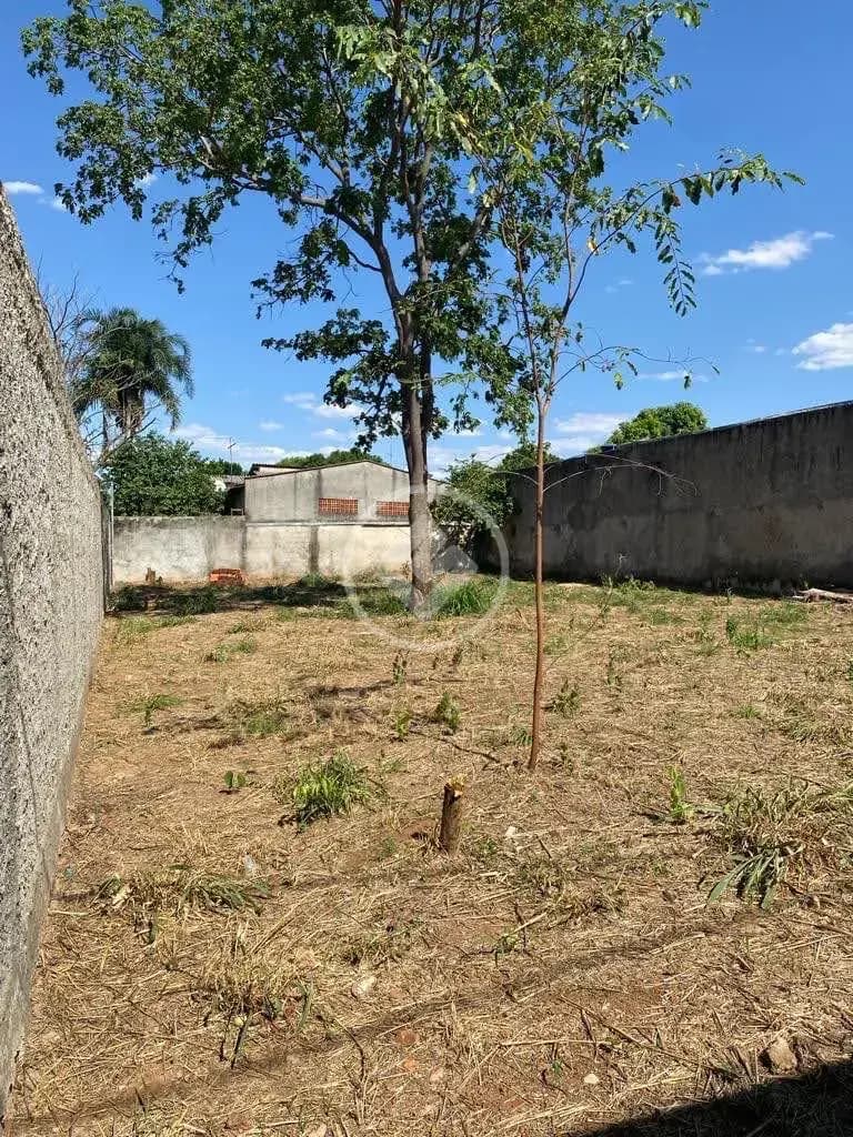 Terreno no Conjunto Vera Cruz, Aparecida de Goiânia — foto 3 de 5