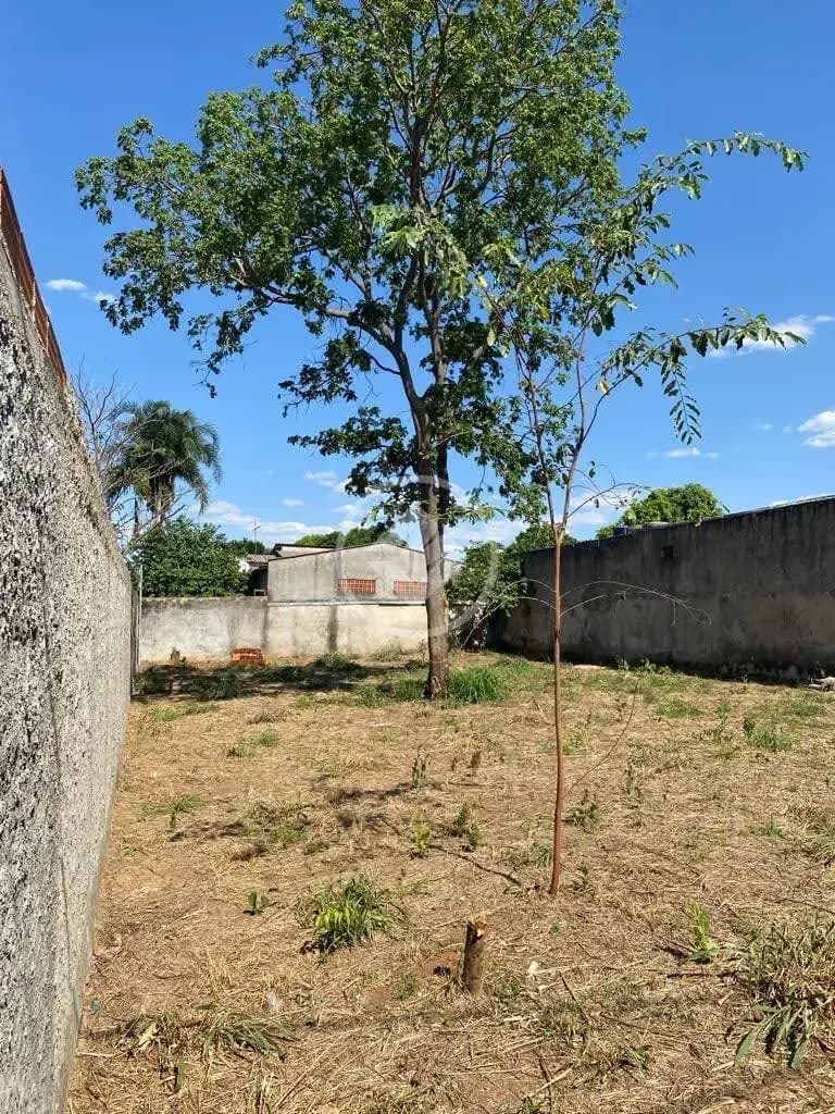 Terreno no Conjunto Vera Cruz, Aparecida de Goiânia — foto 4 de 5