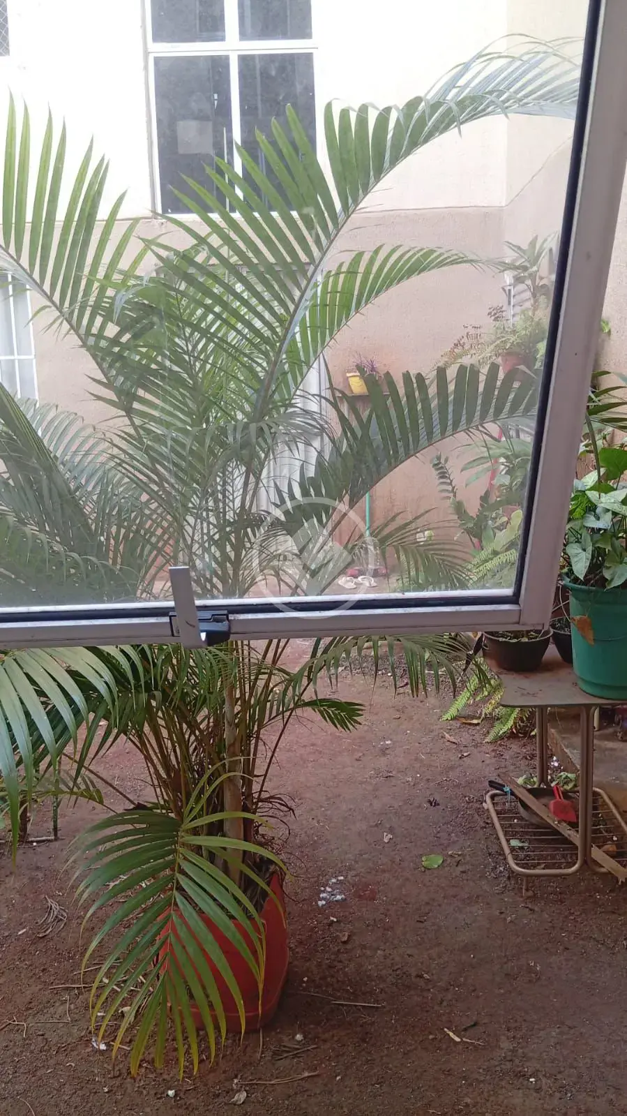 Apartamento 2 quartos no Jardim São José, Goiânia — foto 5 de 6