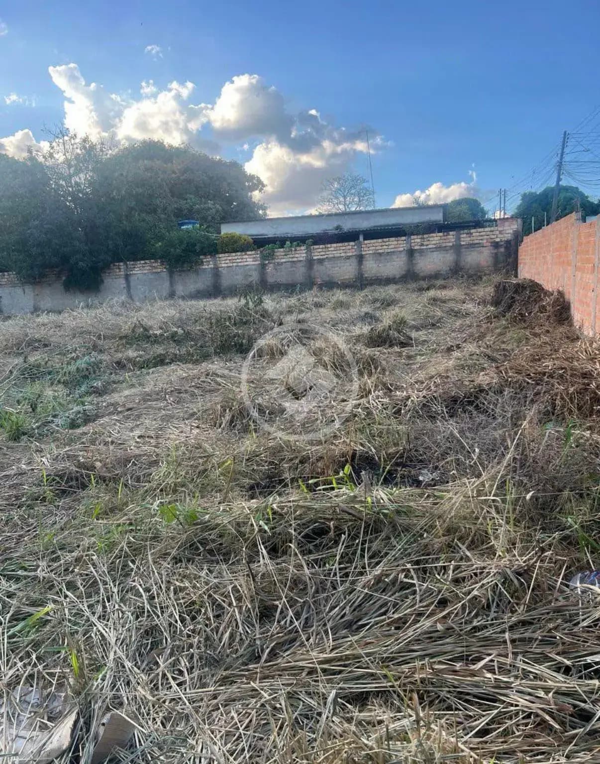 Terreno no Cidade Livre, Aparecida de Goiânia — foto 3 de 5