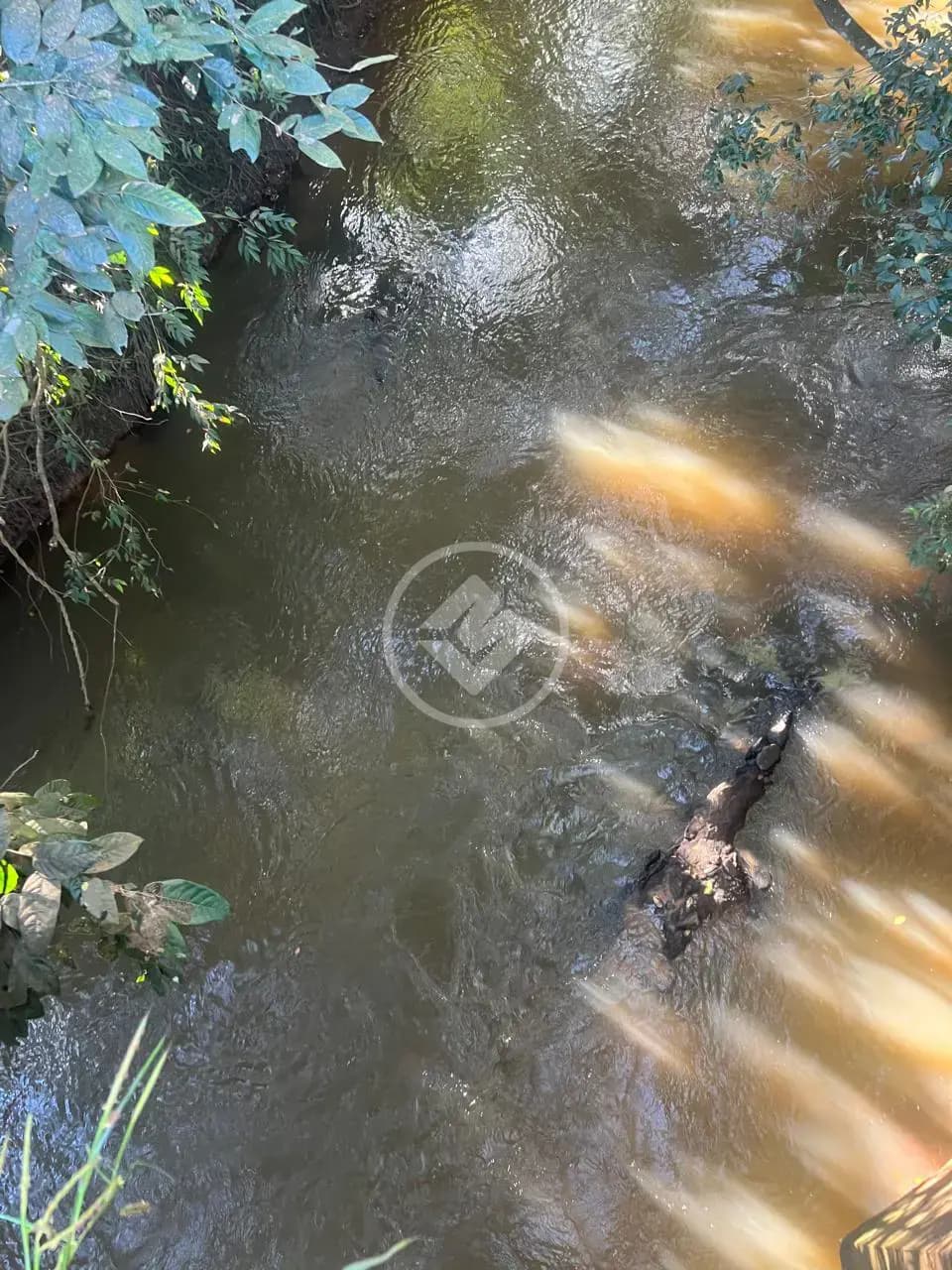 Sítio no Aldeia dos Sonhos, Hidrolândia — foto 3 de 6