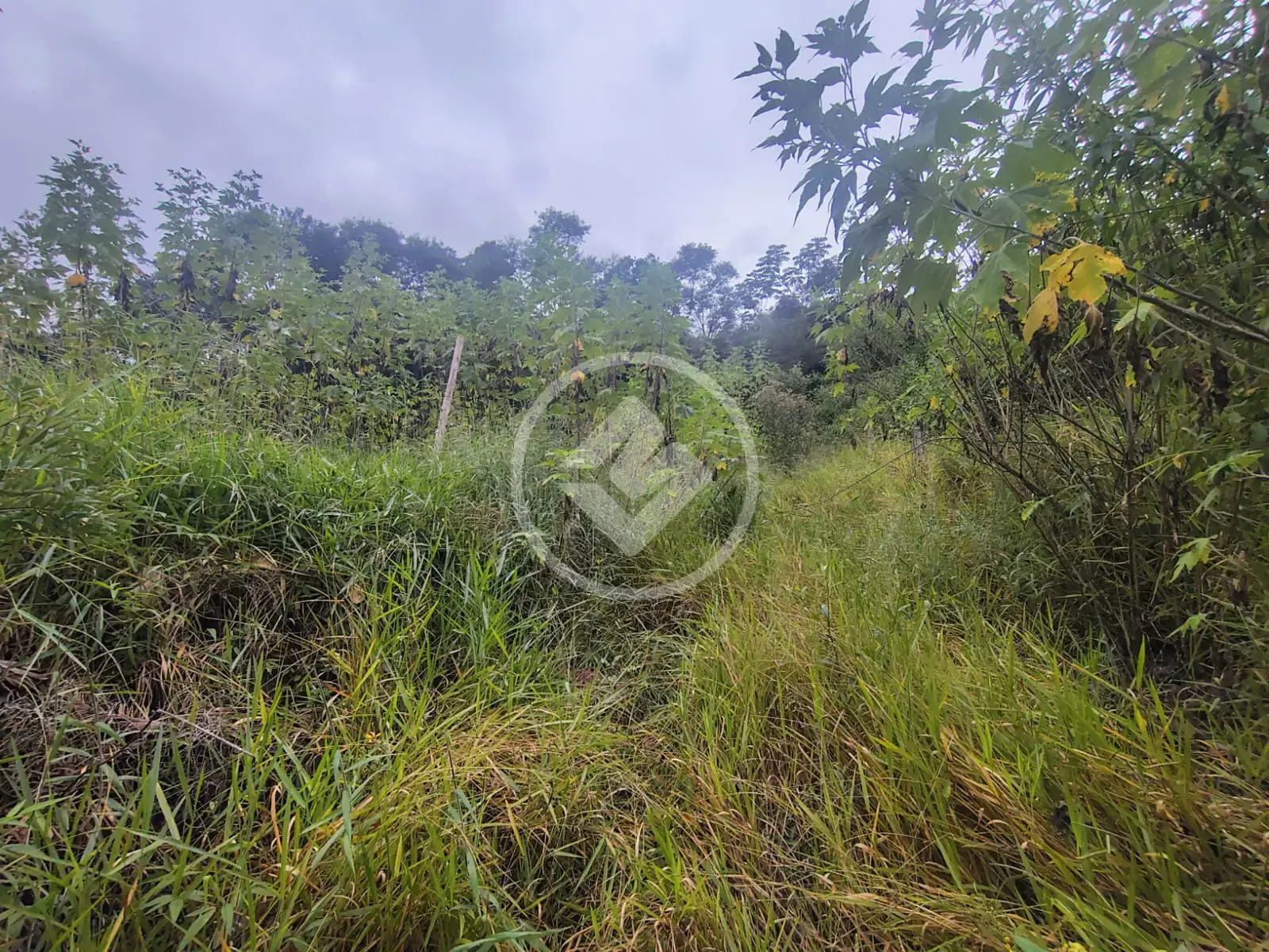 Terreno Condomínio no Fazenda Alpina, Teresópolis — foto 4 de 6