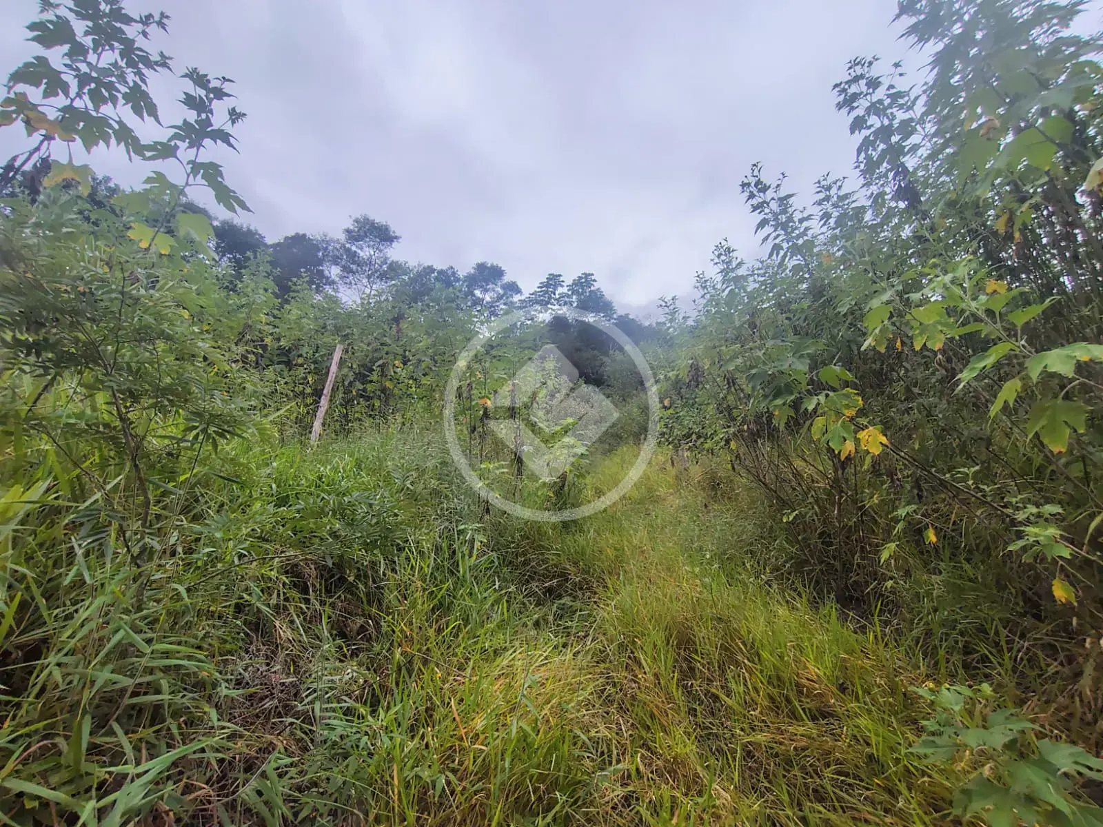 Terreno Condomínio no Fazenda Alpina, Teresópolis — foto 5 de 6