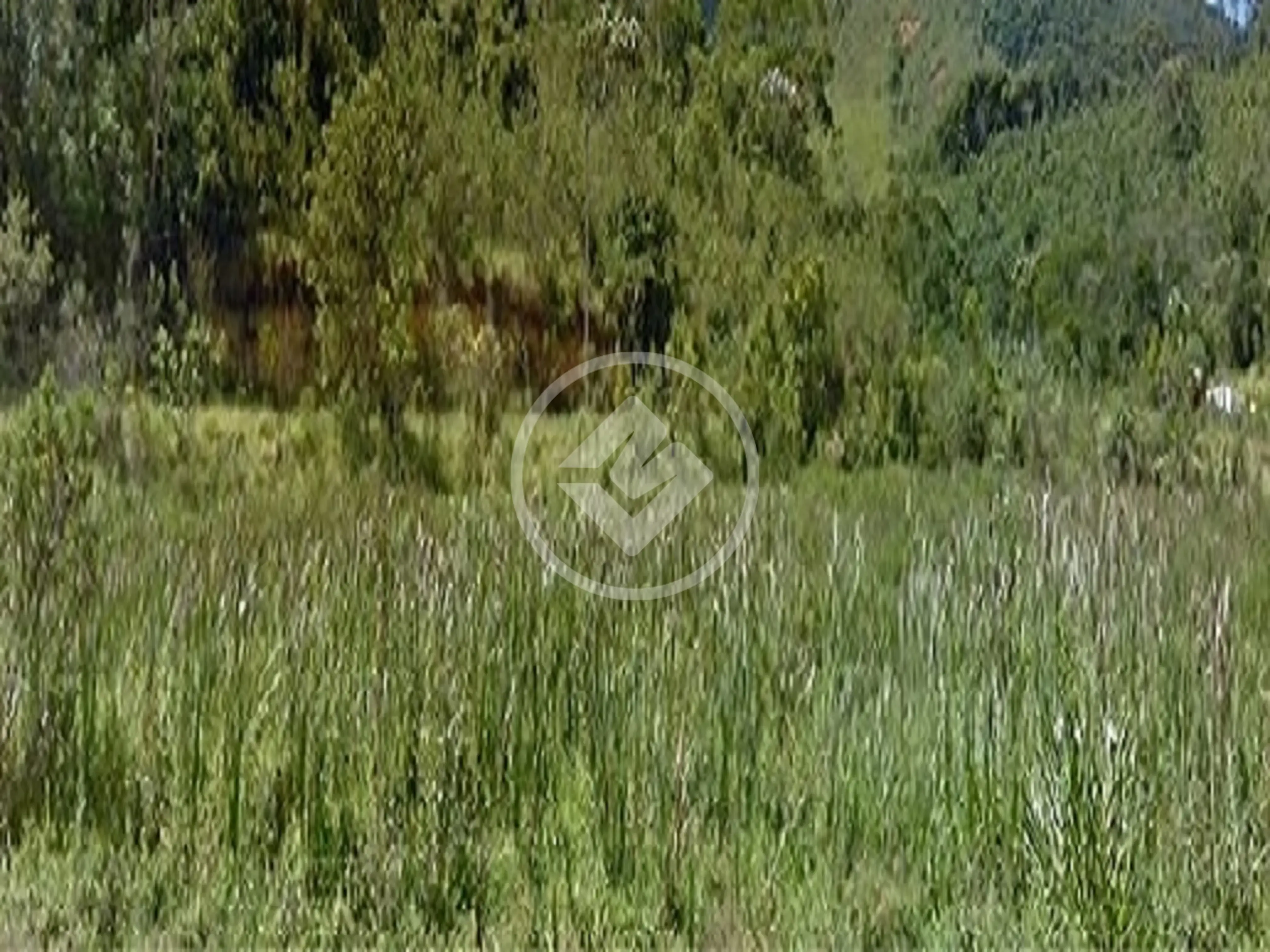 Terreno Condomínio Fazenda Alpina, Teresópolis - RJ — foto 2
