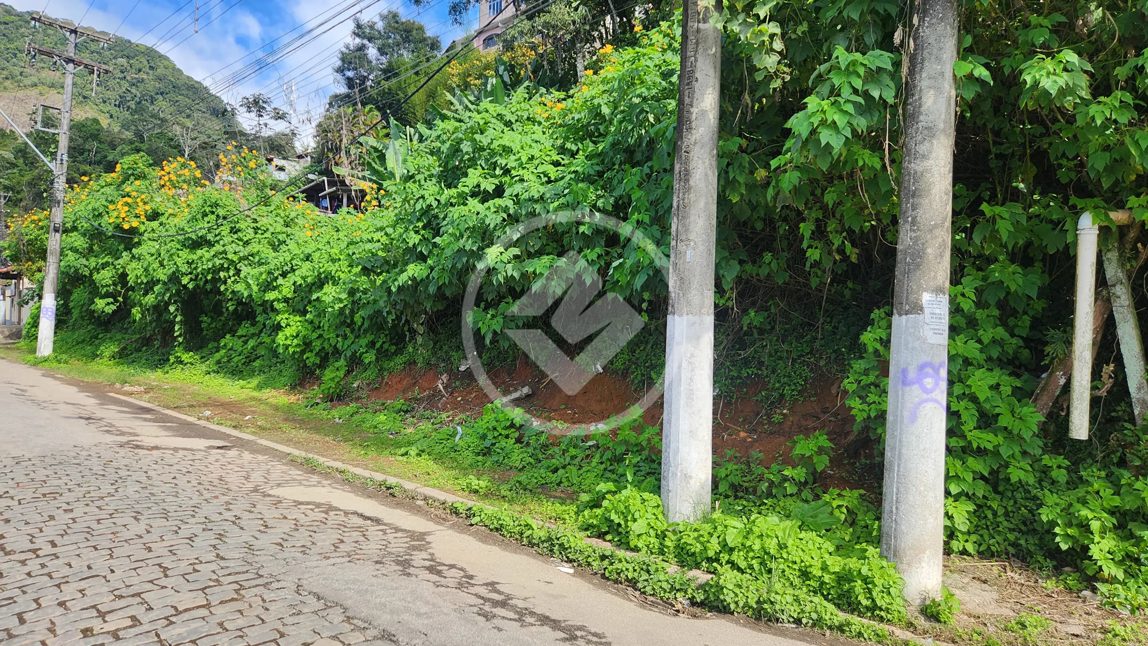 Terreno Granja Guarani, Teresópolis - RJ — foto 1