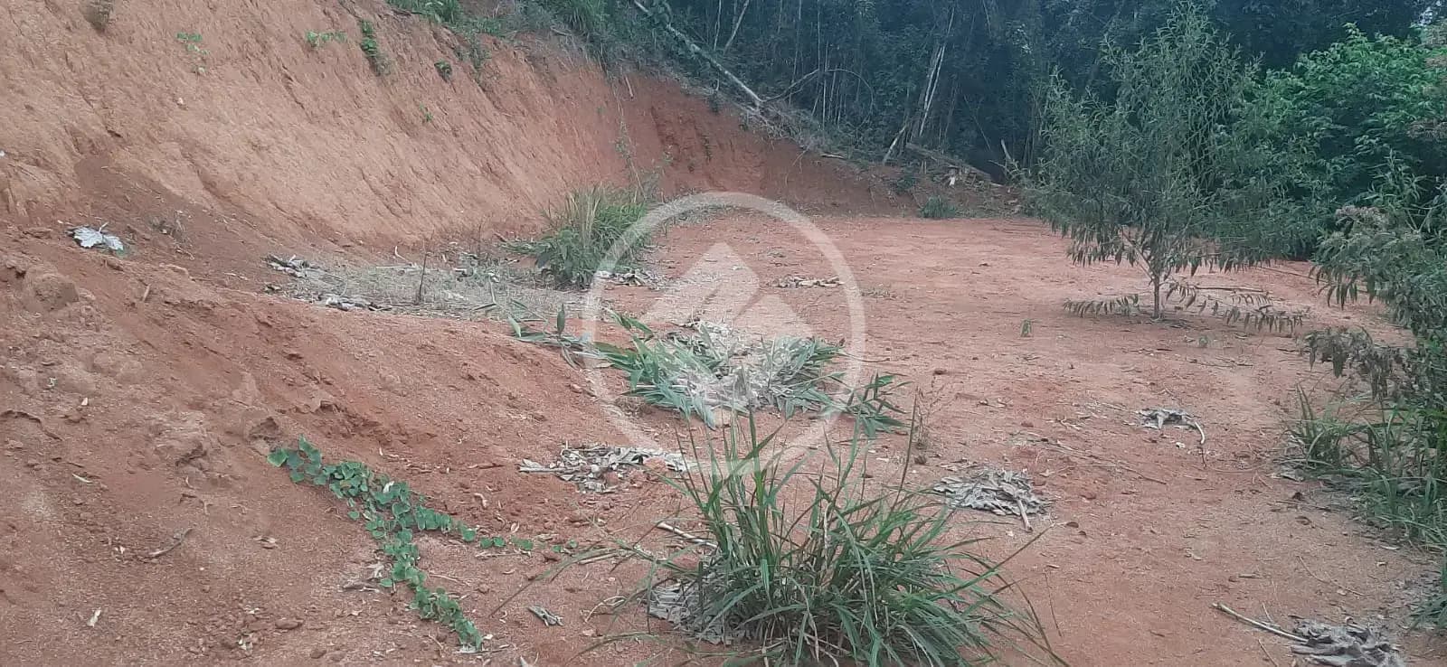 Terreno no Prata, Teresópolis — foto 5 de 6