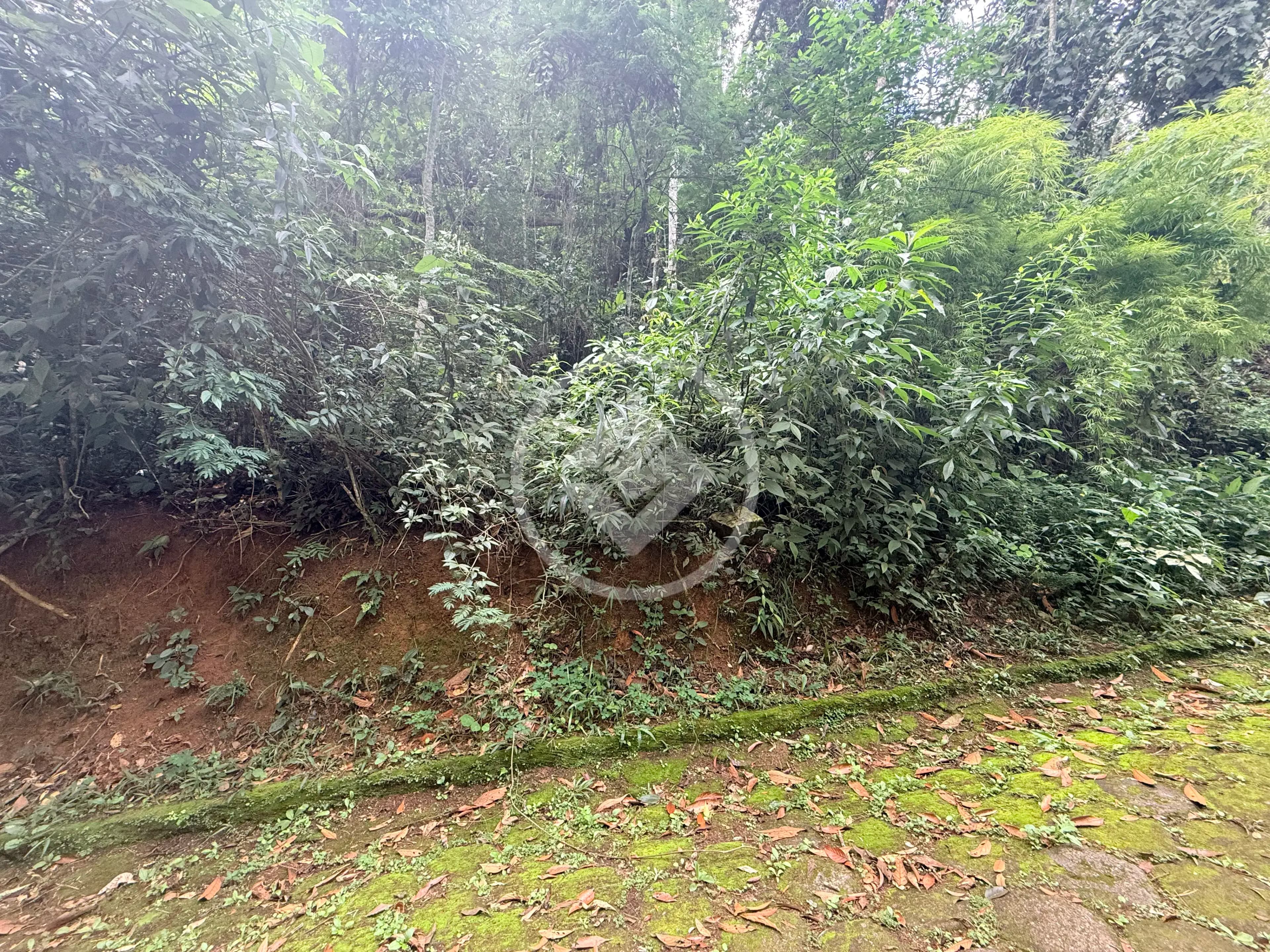 Terreno Condomínio Prata, Teresópolis - RJ — foto 1
