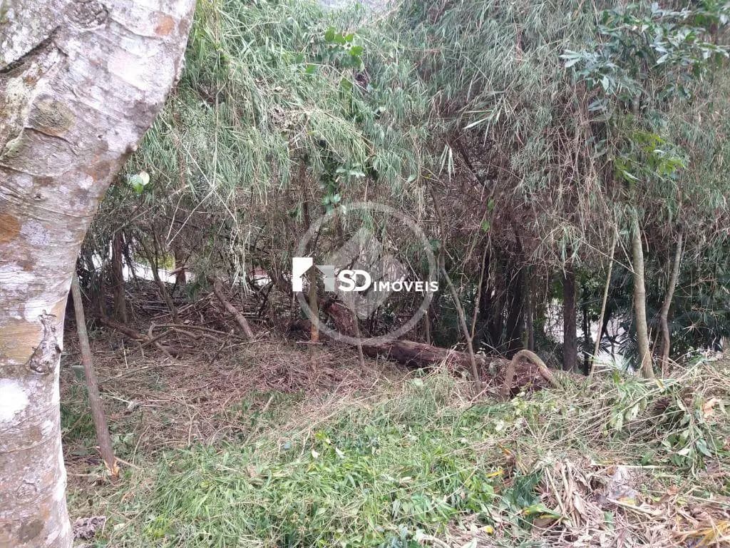 Terreno Condomínio no Carlos Guinle, Teresópolis — foto 4 de 6