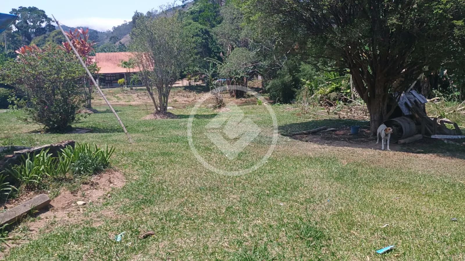 Sítio 3 quartos no Vargem Grande, Teresópolis — foto 5 de 6