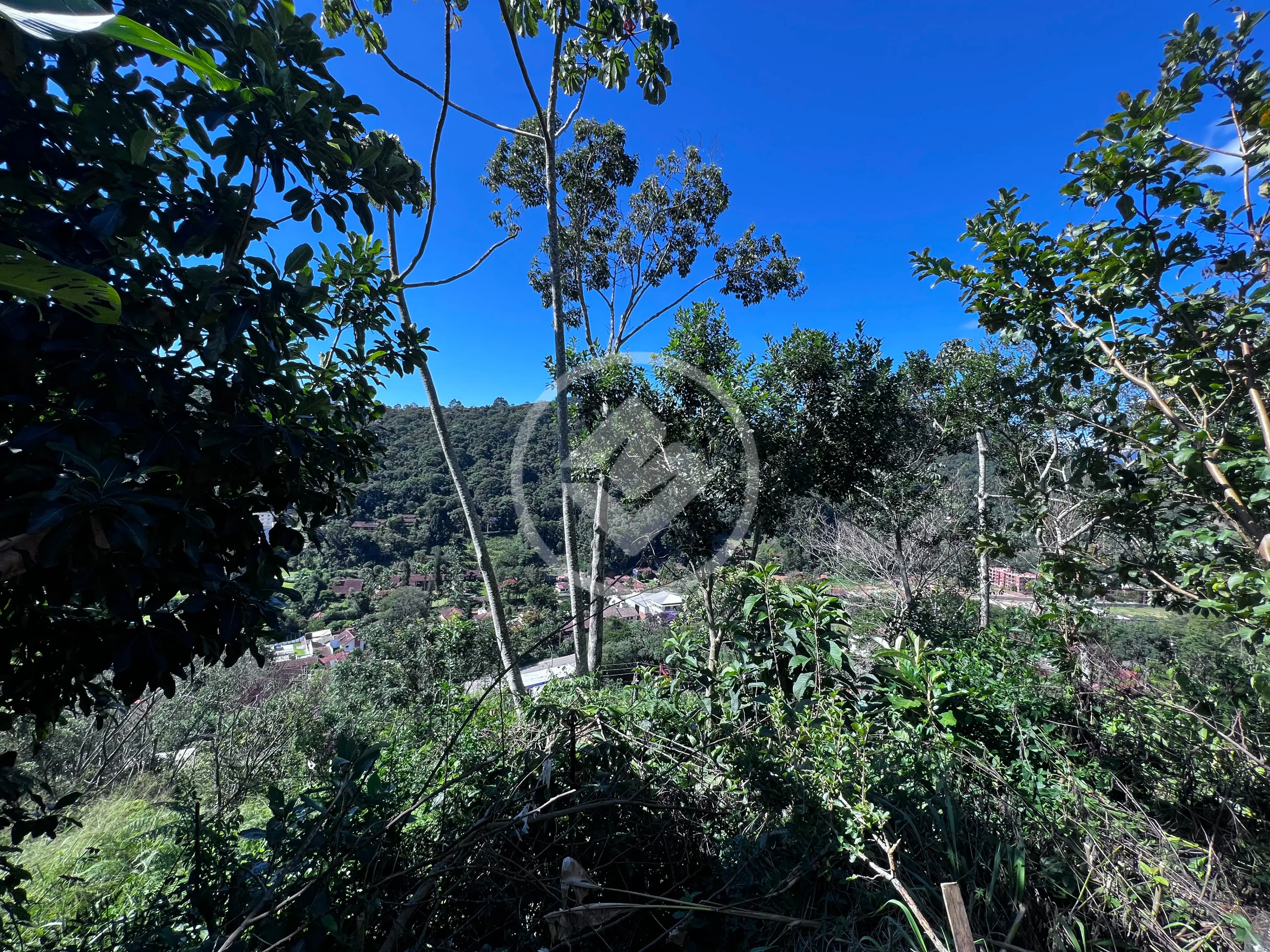 Terreno Condomínio no Albuquerque, Teresópolis — foto 3 de 6