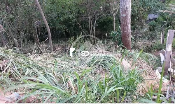 Terreno Panorama, Teresópolis - RJ — foto 2