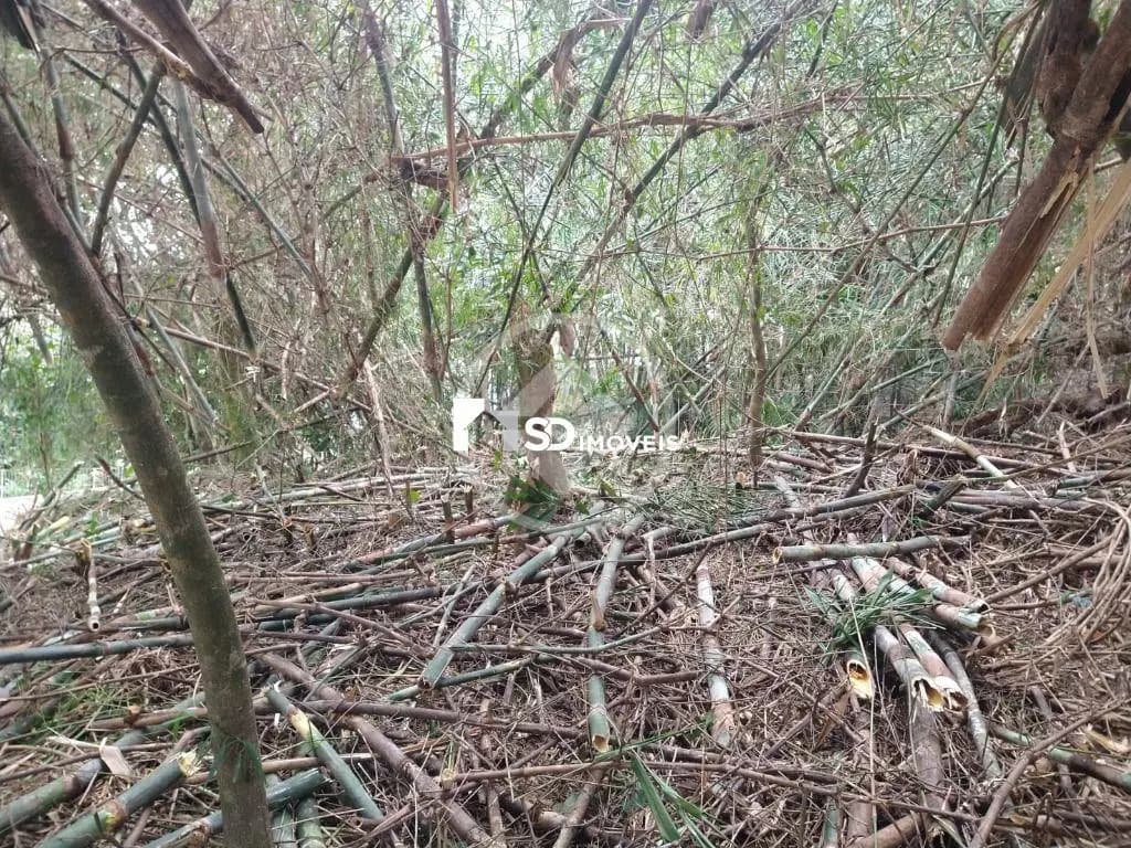 Terreno Condomínio Carlos Guinle, Teresópolis - RJ — foto 2