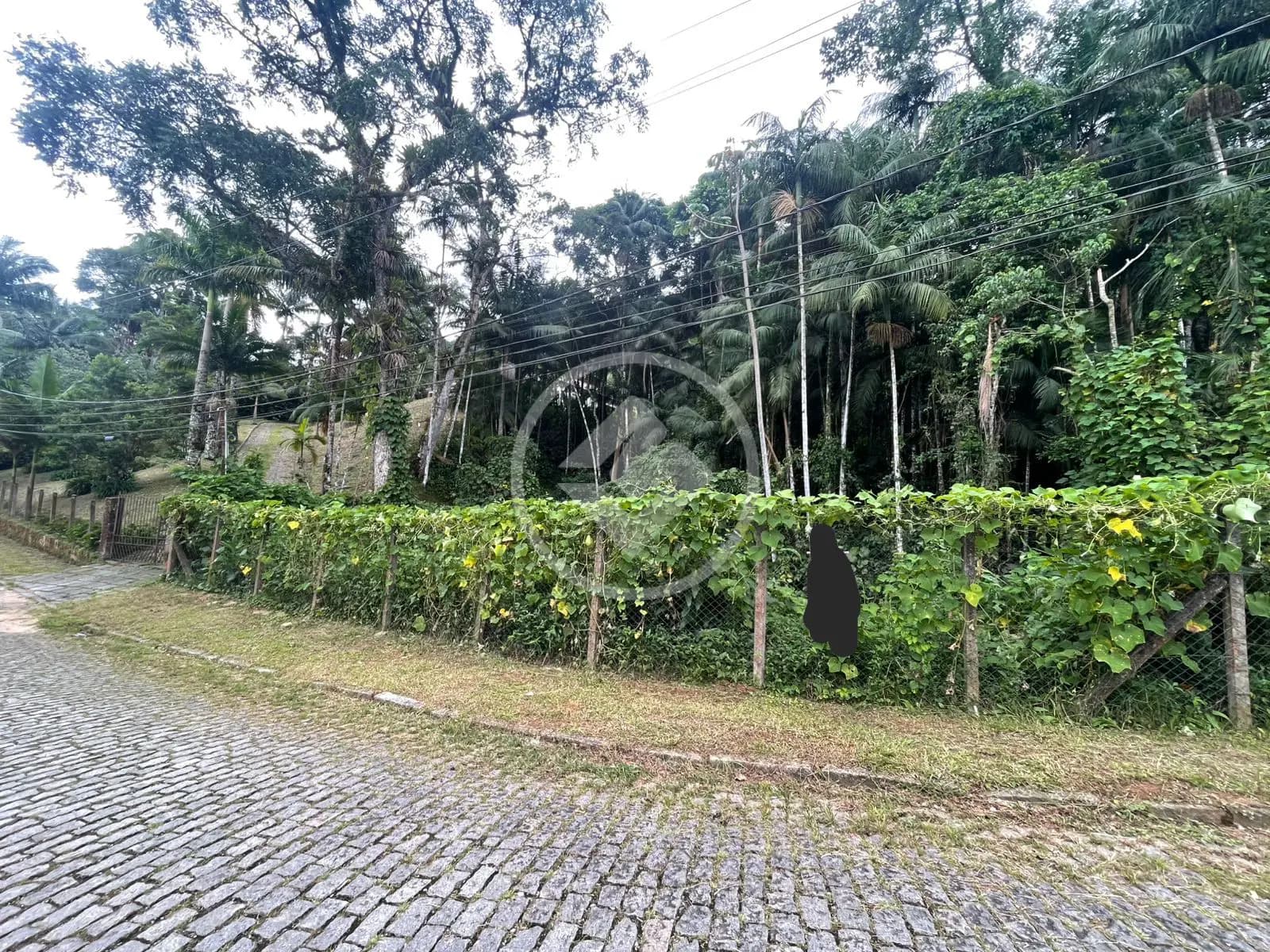 Terreno no Carlos Guinle, Teresópolis — foto 3 de 6