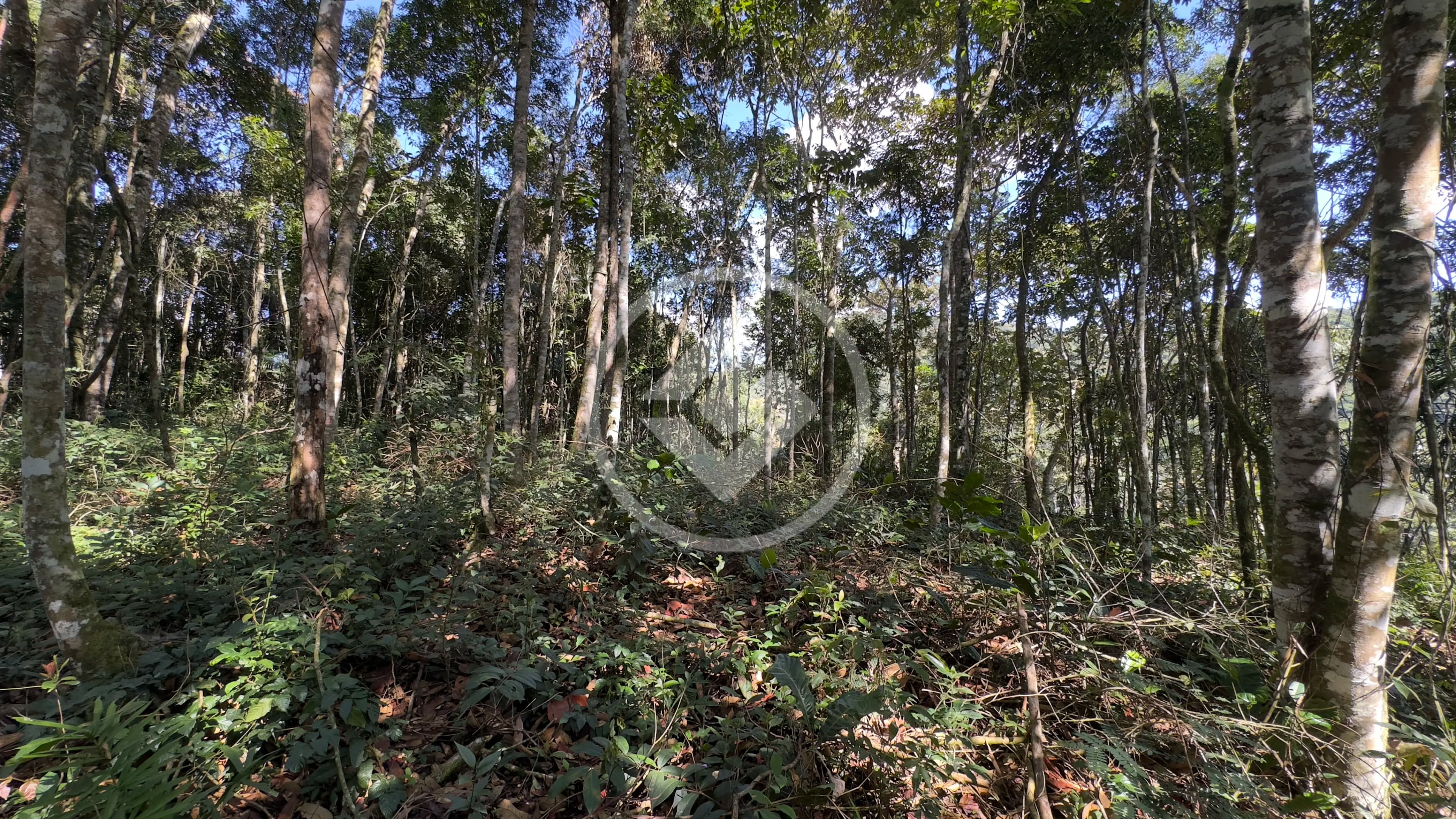 Terreno Condomínio no Fazenda Boa Fé, Teresópolis — foto 6 de 6