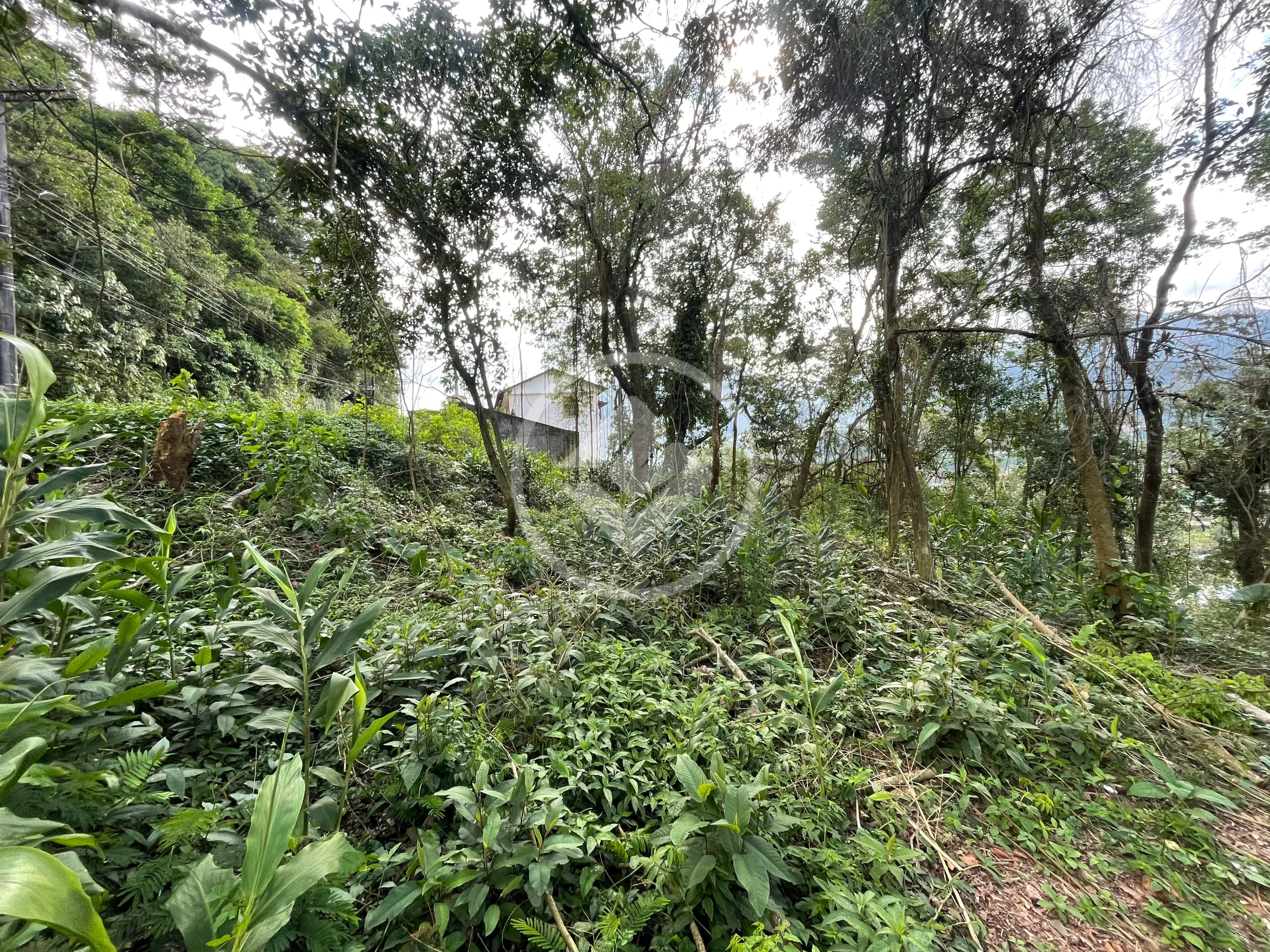 Terreno no Carlos Guinle, Teresópolis — foto 6 de 6