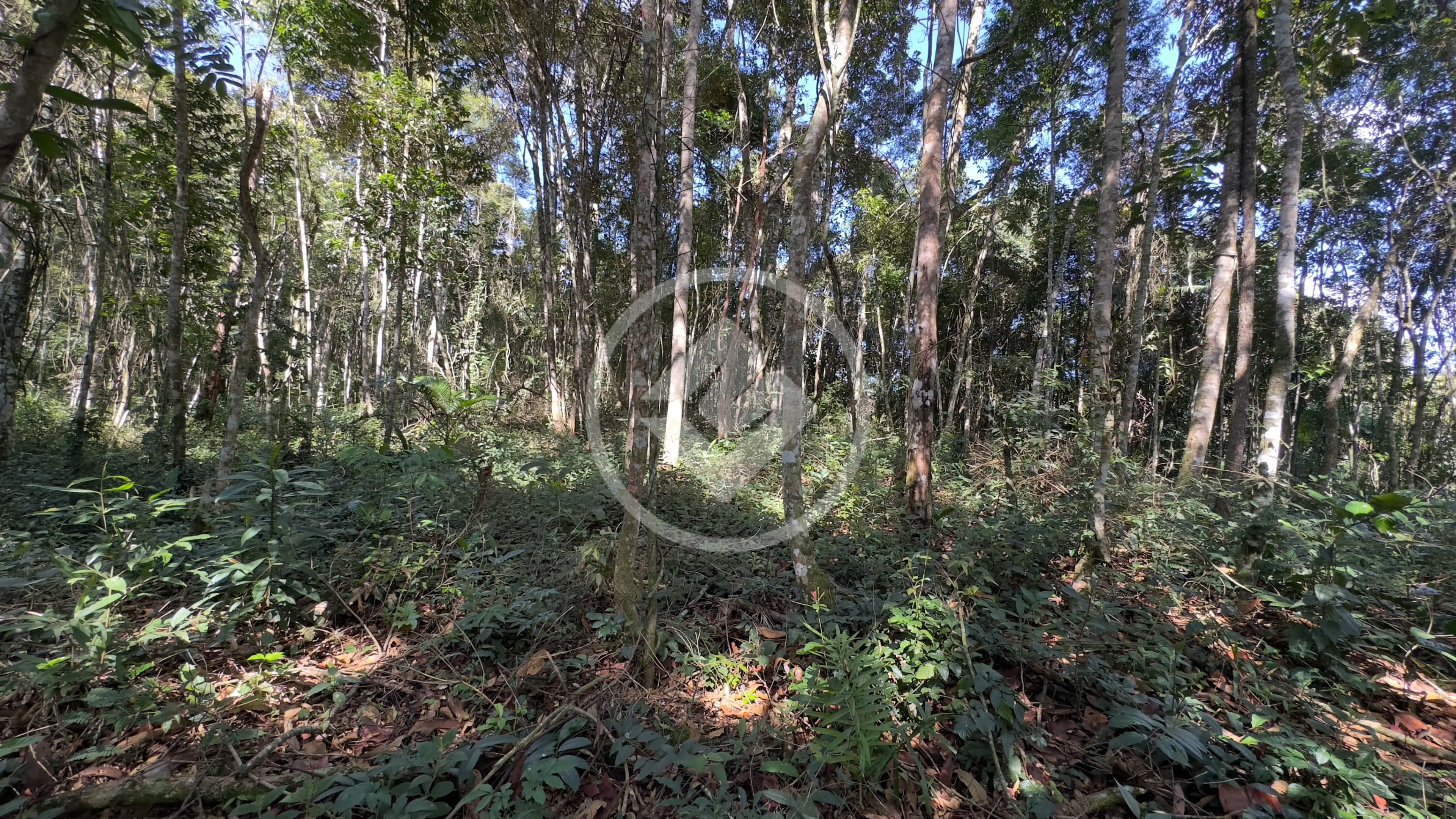 Terreno Condomínio no Fazenda Boa Fé, Teresópolis — foto 3 de 6