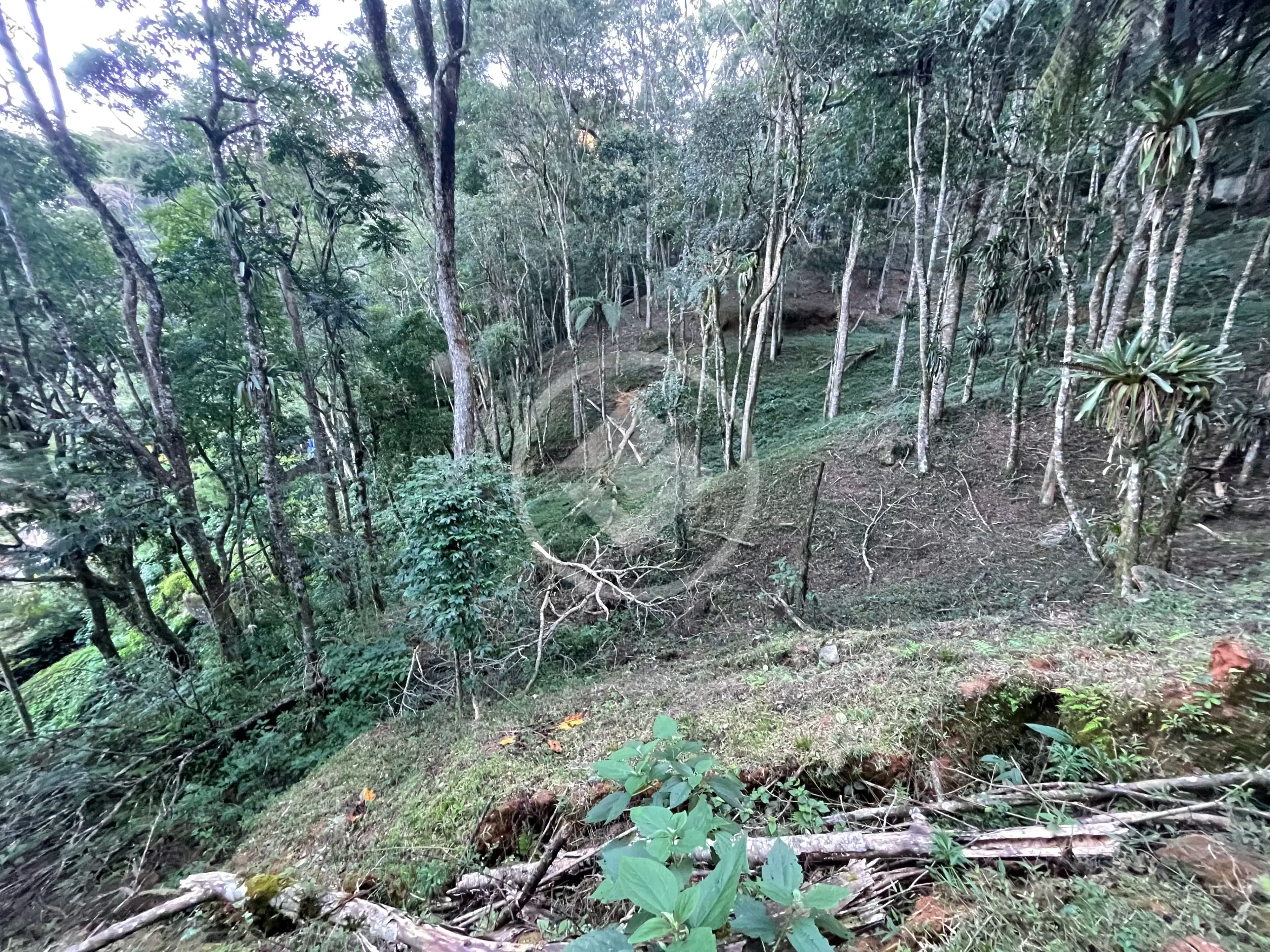 Terreno no Cascata dos Amores, Teresópolis — foto 4 de 6