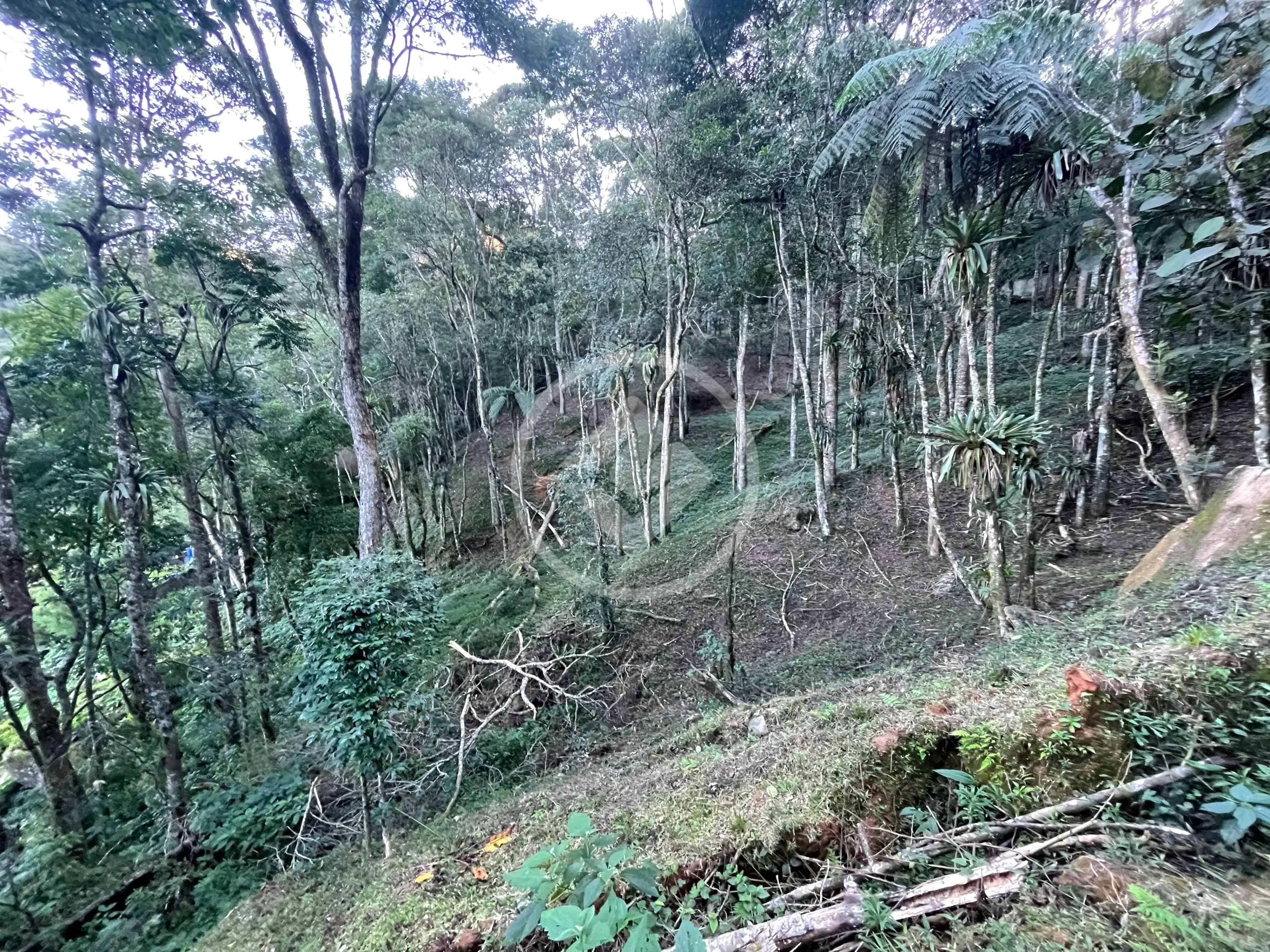 Terreno no Cascata dos Amores, Teresópolis — foto 5 de 6