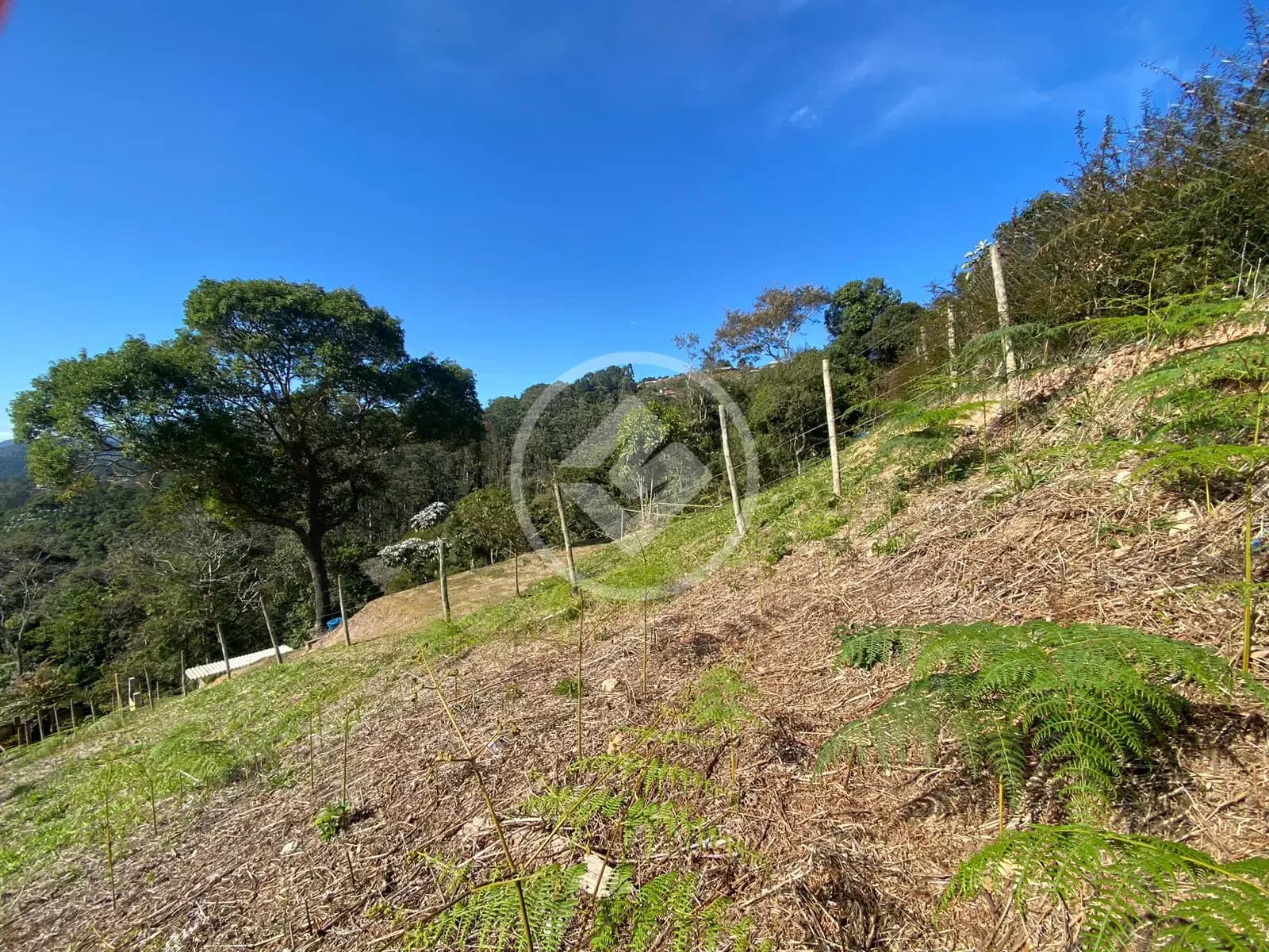 Terreno no Posse, Teresópolis — foto 5 de 6