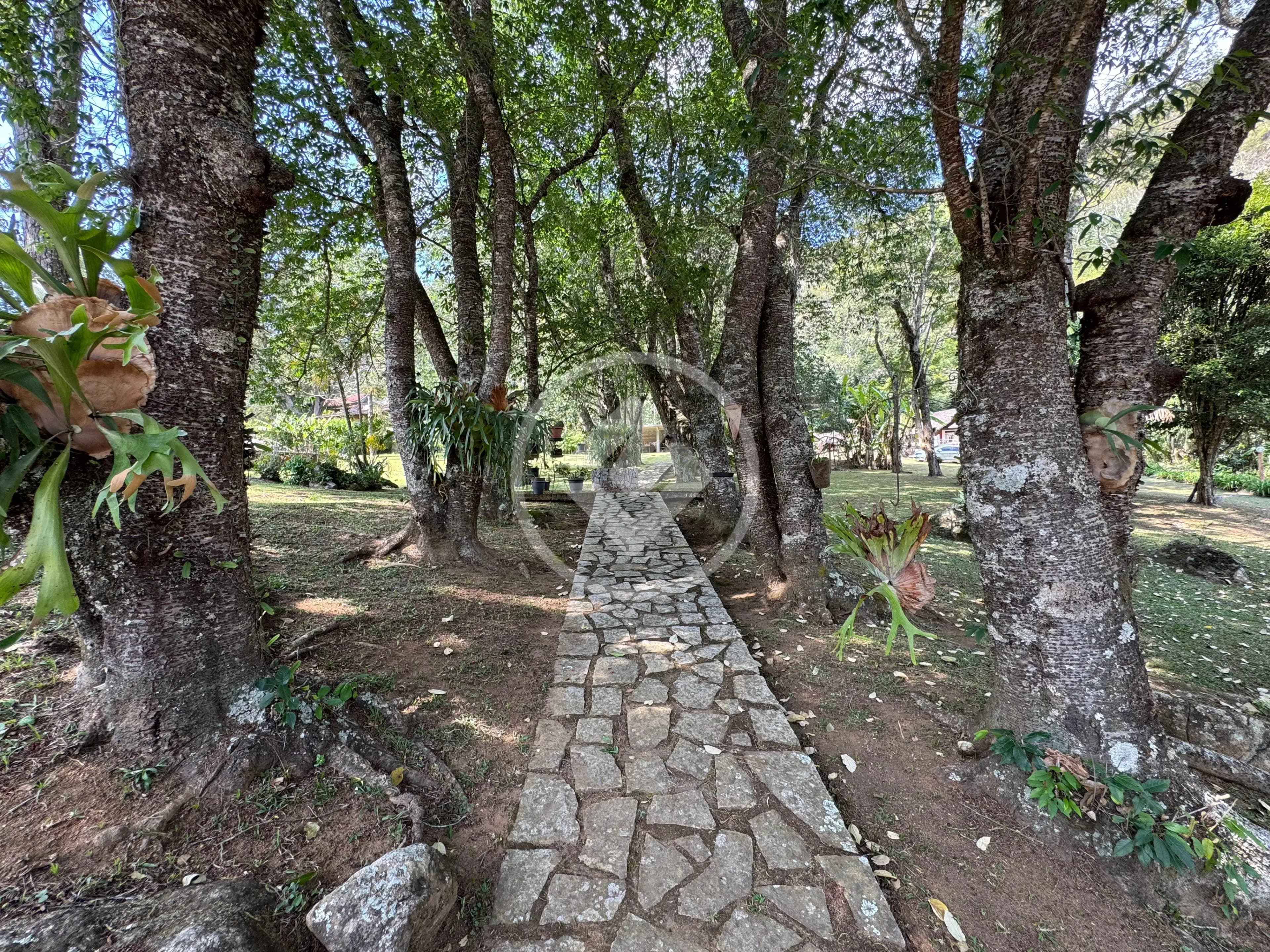 Sítio 5 quartos no Iucas, Teresópolis — foto 4 de 6