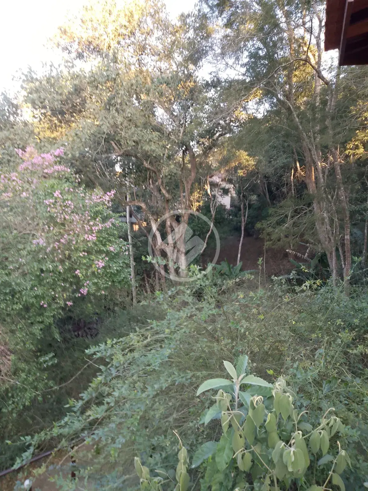 Terreno Condomínio no Albuquerque, Teresópolis — foto 3 de 6