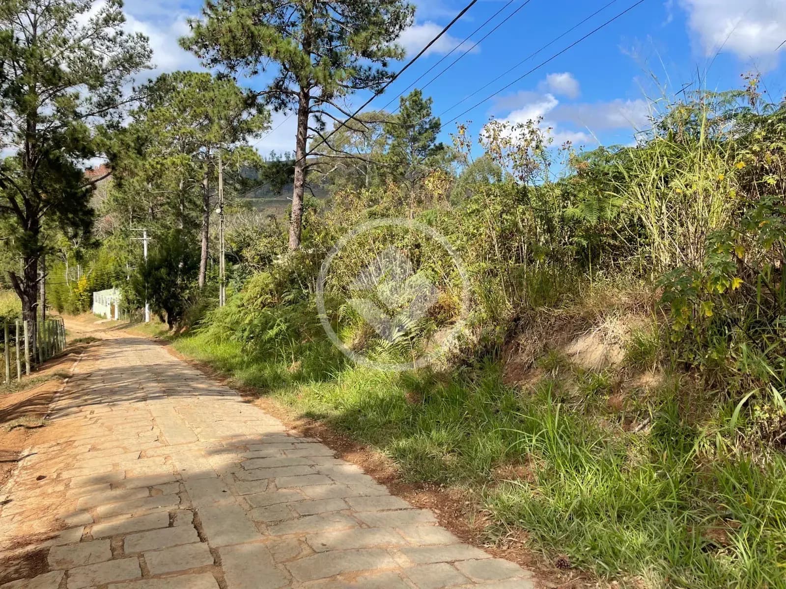 Terreno no Fazenda Suiça, Teresópolis — foto 6 de 6