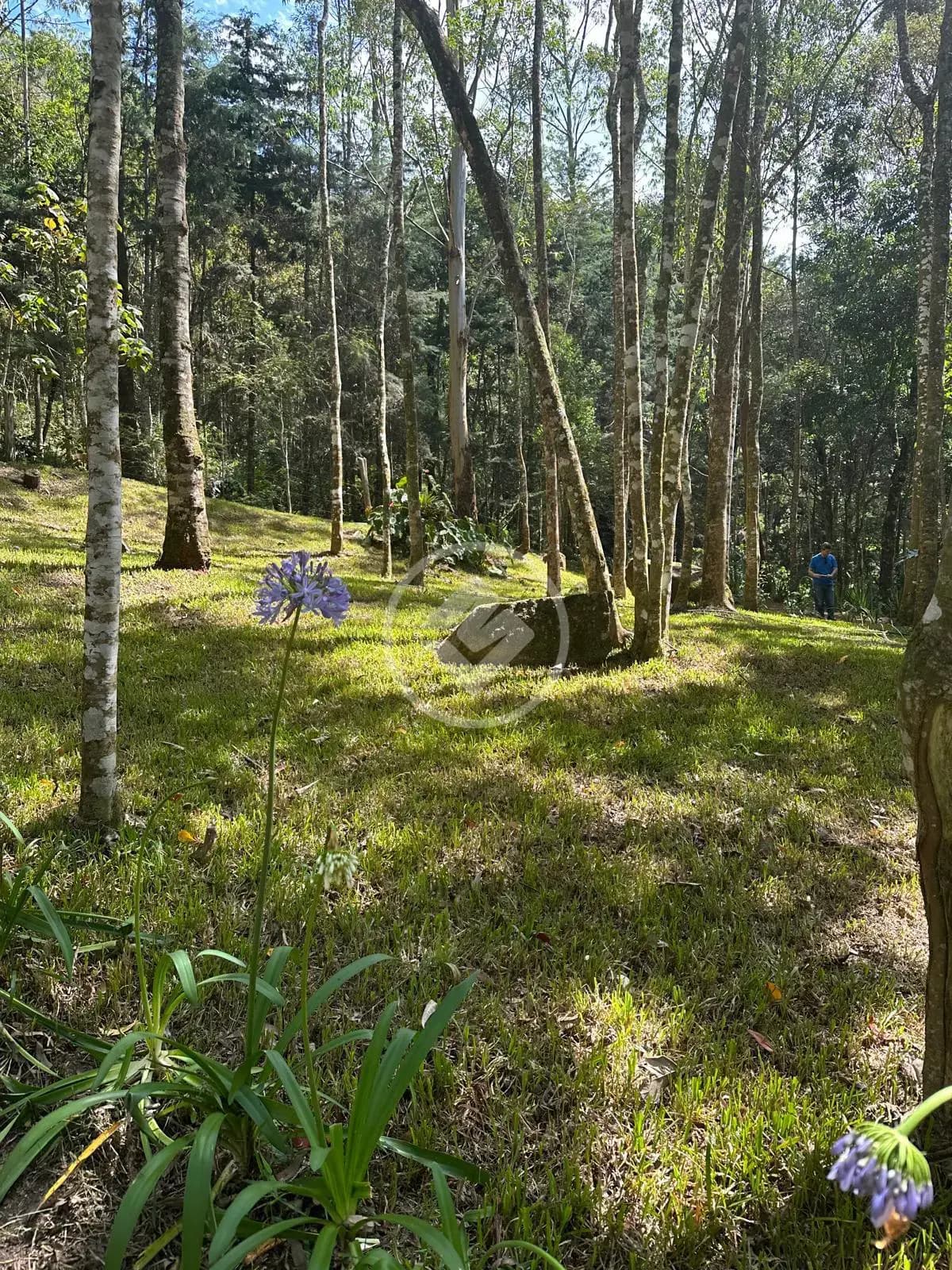 Terreno Quebra Frascos, Teresópolis - RJ — foto 1