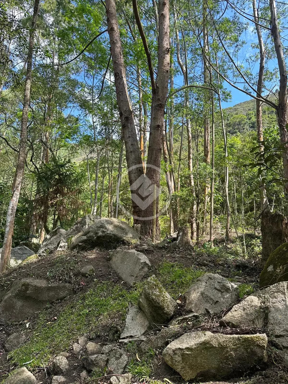 Terreno Quebra Frascos, Teresópolis - RJ — foto 2