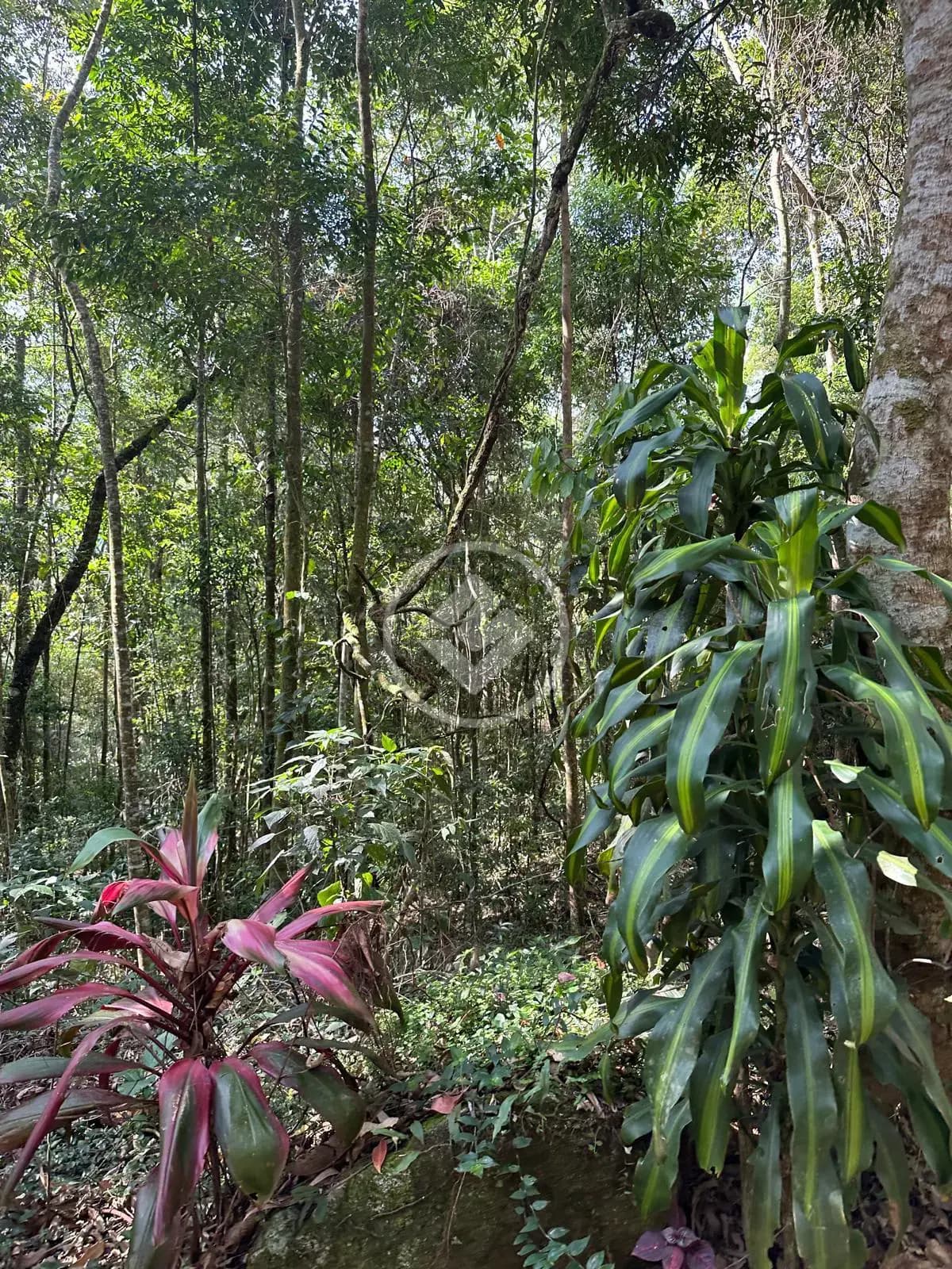 Terreno no Quebra Frascos, Teresópolis — foto 3 de 6
